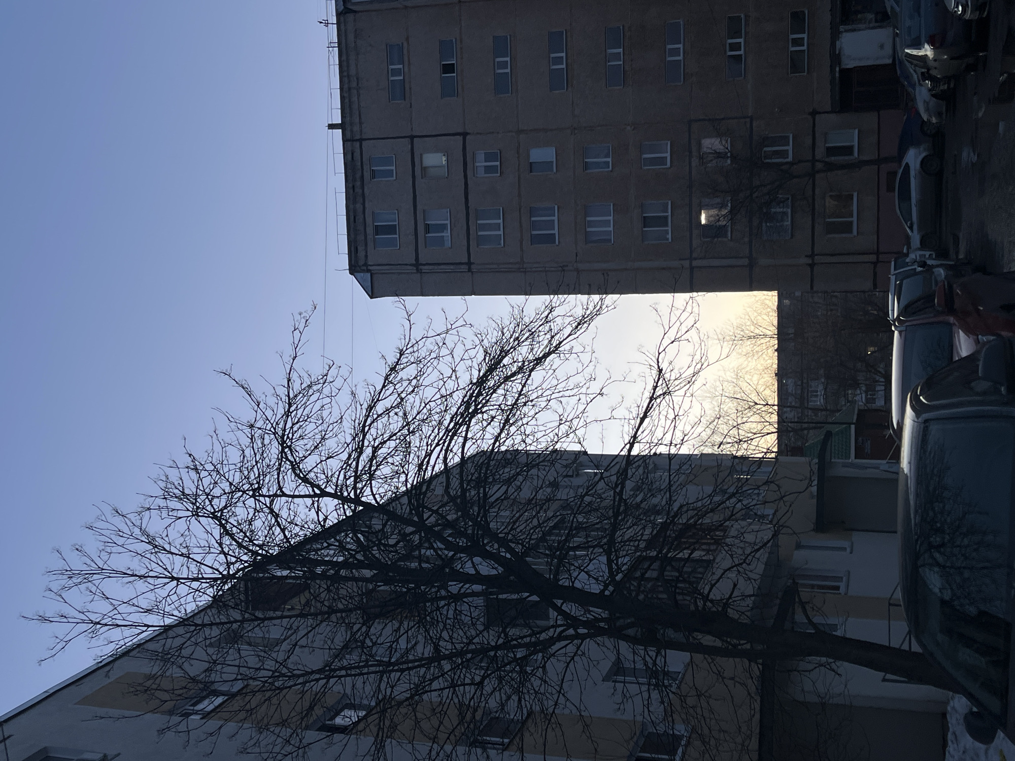 The image depicts an urban scene in Neftekamsk, Russia, featuring buildings and a tree. Two multi-story buildings with numerous windows are prominent. A bare tree with many branches stretches across the lower half of the image, partially obscuring the buildings. The sky is a light blue. Cars are parked on the street next to the buildings. The angle of the shot is from a low perspective, looking upwards.