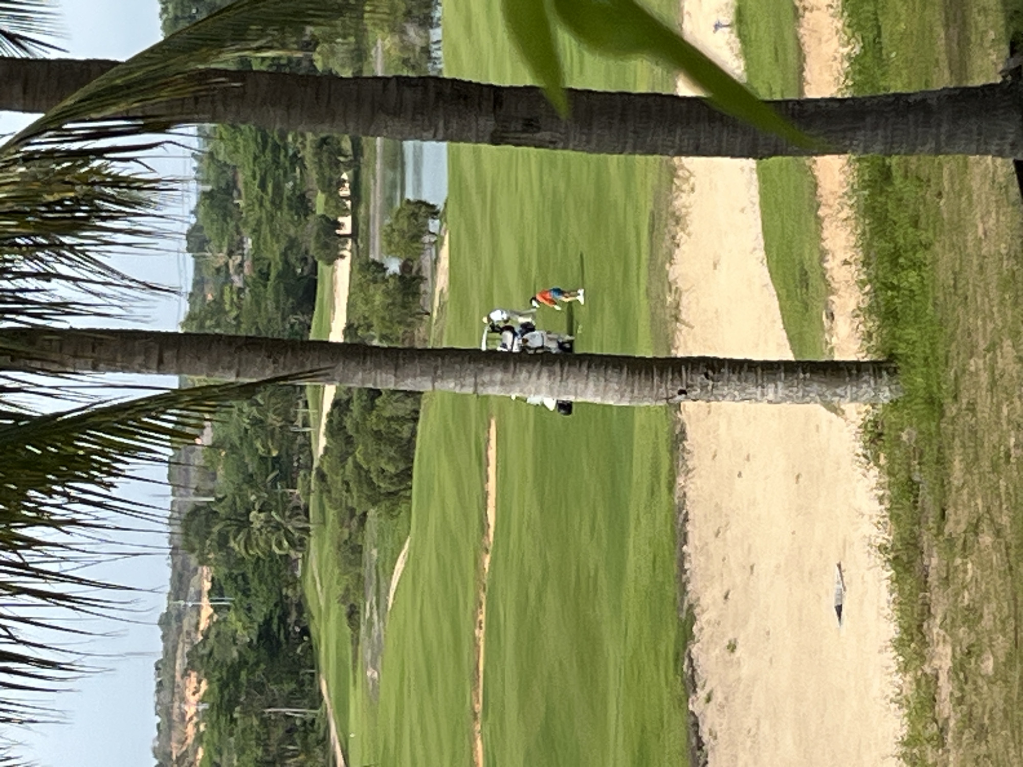 This is a medium-shot, eye-level photograph of a golf course in Phu Thuy Ward, Vietnam, taken on a bright, overcast day. In the foreground, two palm trees frame the scene, with their fronds obscuring the top portion of the image. The middle ground features a lush green golf course with rolling fairways and sand traps. Two golf carts are parked on the fairway, with several individuals standing near them. One person, wearing an orange shirt and blue shorts, is visible mid-swing on the fairway. In the background, a body of water, likely a lake or pond, is visible, bordered by trees and rolling hills. The overall atmosphere suggests a leisurely day of golfing in a tropical setting.
