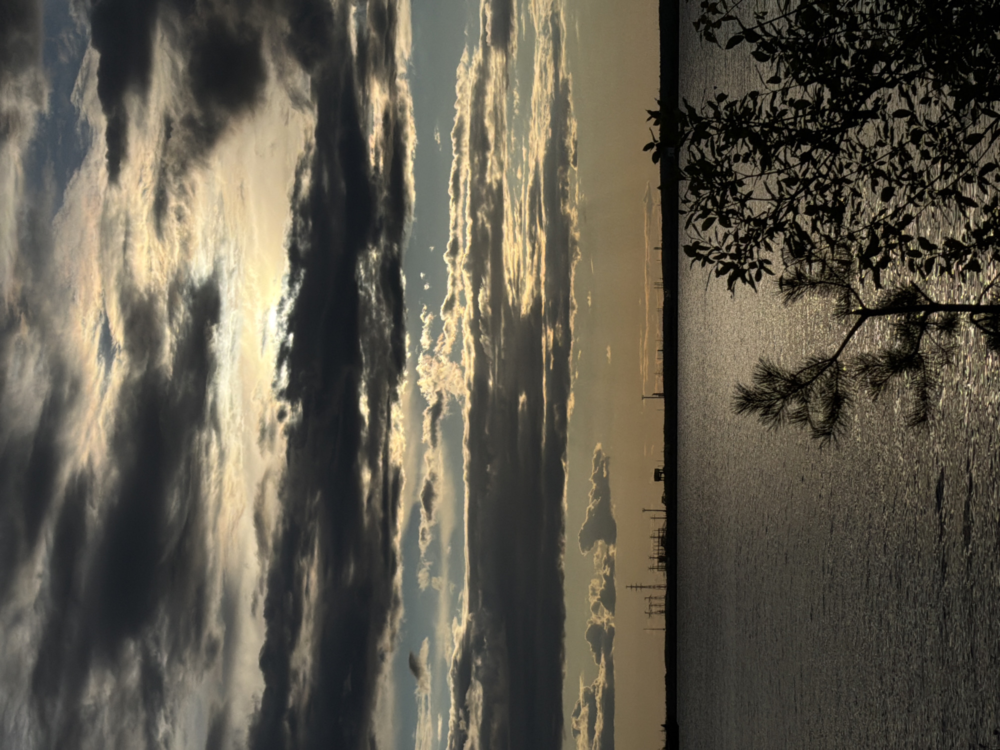 The image depicts a body of water, likely the Kama River, in Chaikovsky, Russia, at dusk. The sky is filled with dramatic, layered clouds, some dark and ominous, others illuminated by the setting sun, creating a strong contrast of light and shadow. Silhouetted against the horizon are industrial structures, possibly power lines or part of a factory complex, hinting at the industrial nature of the city. In the foreground, the dark silhouettes of tree branches and pine needles frame the scene. The water's surface is rippled, reflecting the subdued light of the sky.