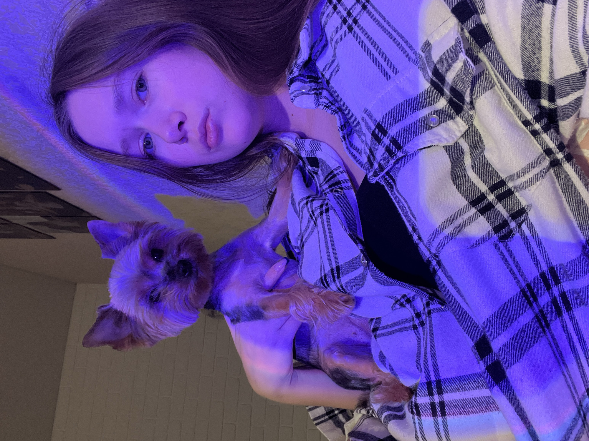 This intimate portrait, taken in Chaikovsky, Russia, features a young person and a small dog, both bathed in a strong, ethereal blue and purple light. The image is oriented sideways, with the subjects appearing to be reclining or lying down.
The person, likely female, has long brown hair spread out and striking blue eyes that gaze directly yet somewhat distantly at the viewer. She wears a black and white plaid button-up shirt over a dark top, with details of the plaid pattern and metal snaps on the shirt visible. Her expression is neutral to slightly pensive, and there's a subtle shimmer near one of her eyes. She cradles a small, furry dog, likely a Yorkshire Terrier, with brown and black fur, which also looks towards the camera with a gentle expression.
The background consists of a light-colored, textured wall and a darker surface, possibly wood or tile, suggesting an indoor setting. The prominent blue and purple artificial lighting creates a cool, atmospheric mood, implying the photo was taken in the evening or night. No text is visible in the image.