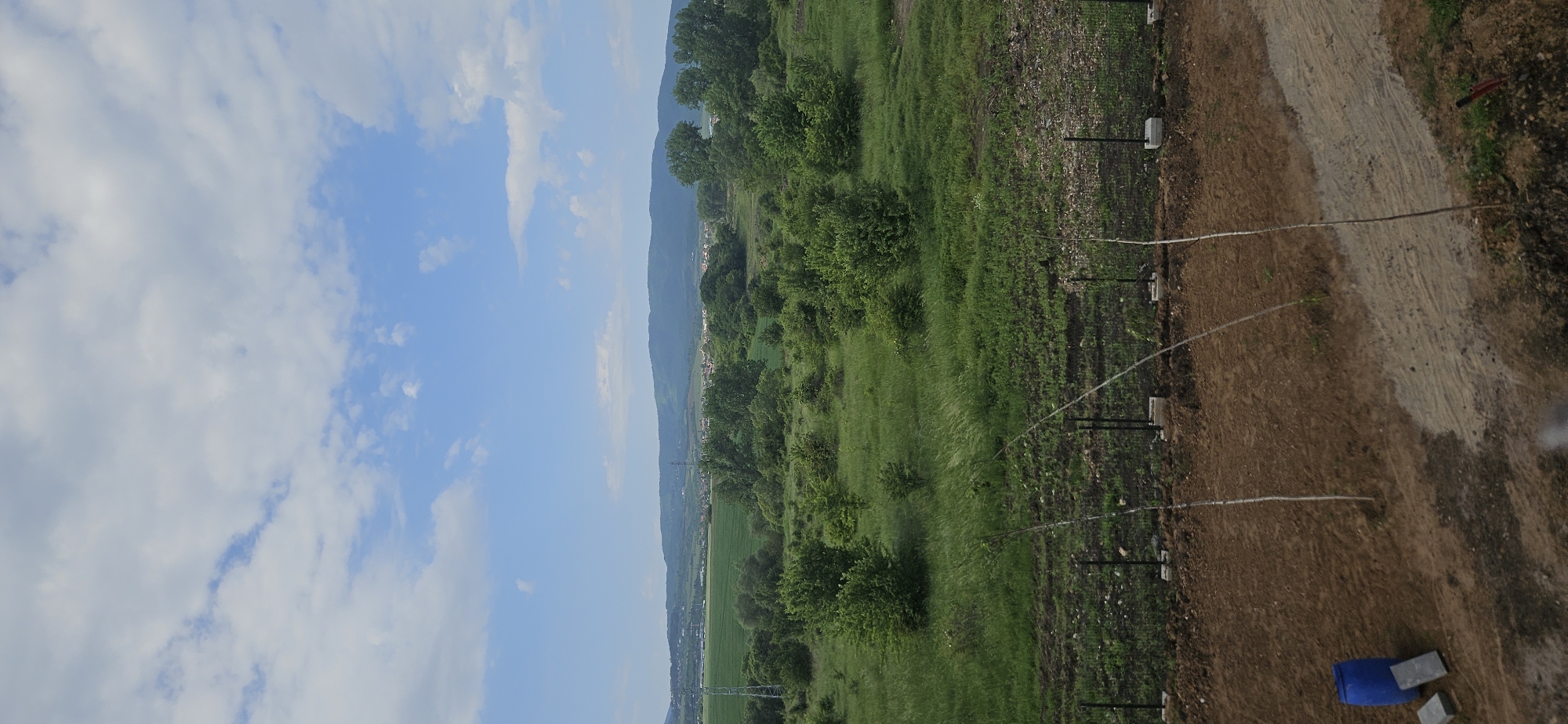 The image shows a rural landscape near Sofia, Bulgaria. The foreground features a dirt path running parallel to a green field. A fence with regularly spaced posts and concrete bases separates the path from the field. Irrigation lines extend from the posts, indicating an agricultural area. Beyond the field, a line of trees and bushes leads to a mountain in the background. The sky is blue with scattered white clouds.
