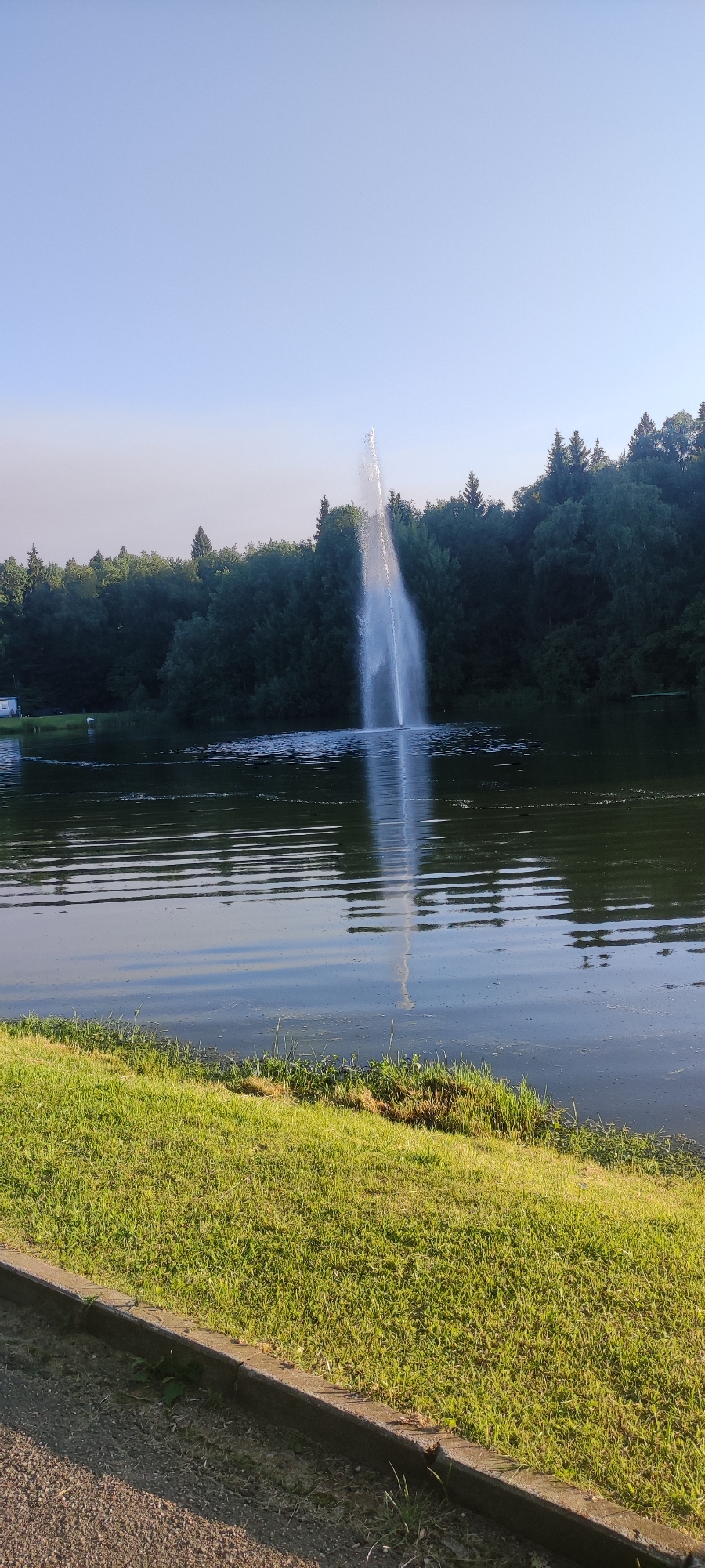 The image shows a serene lake with a tall fountain spraying water in the center, creating a misty plume. A dense line of dark green trees forms the backdrop of the lake, with the sky above being a clear, pale blue. In the foreground, a strip of lush green grass runs along the edge of the lake, bordered by a concrete curb. The water is calm, with gentle ripples reflecting the fountain and the surrounding trees. The overall scene suggests a peaceful, natural setting, possibly a park or recreational area within the city of Rosinka, Russia.