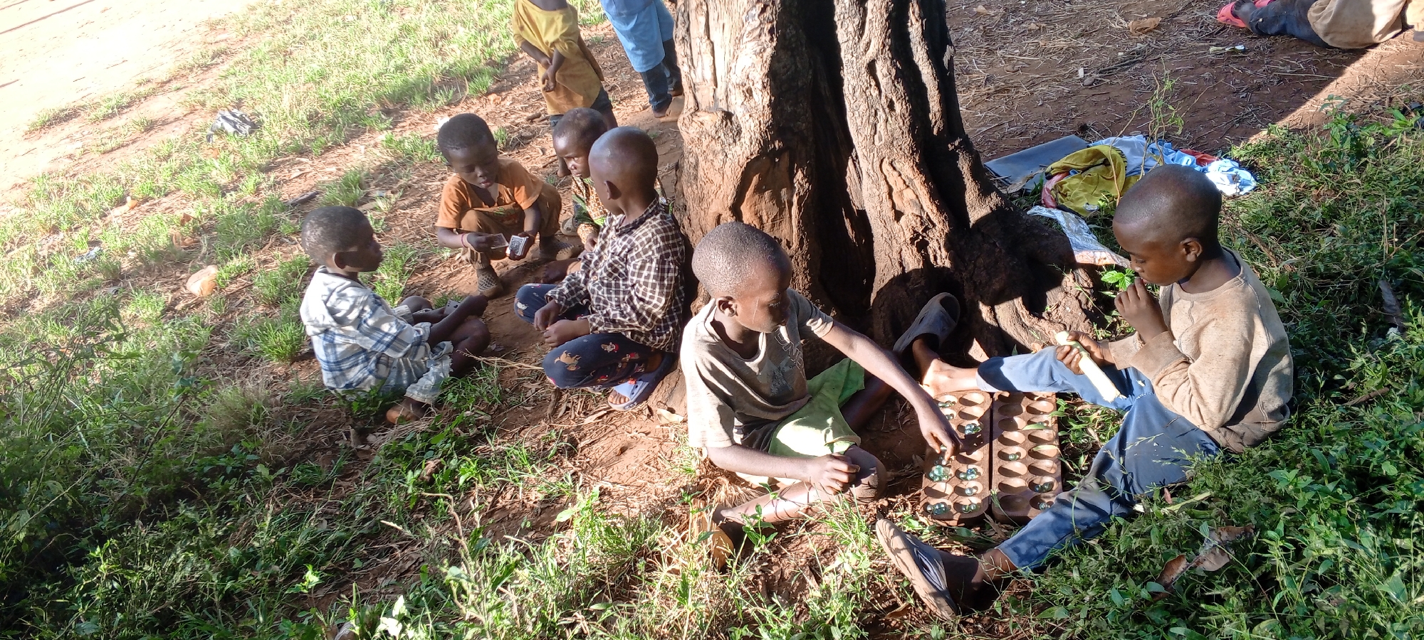 The image captures a group of approximately seven young children, all appearing to be boys, gathered outdoors under the shade of a large tree. They have short, dark hair and are dressed in casual, worn clothing including t-shirts, plaid shirts, and trousers or shorts.
The children are engaged in various forms of play and social interaction. To the right, two children are focused on a wooden mancala board, with one boy actively moving a playing piece. Another child, seated centrally, holds and looks at a small stack of cards, possibly playing cards. The other children are sitting around, observing the games or interacting with each other. One child on the far left watches the card game, while a child on the far right is eating something, possibly a piece of corn or sugarcane. Scattered on the ground behind them are some discarded items, including plastic bags and possibly bundles of clothing.
The scene is set in an informal outdoor area, characterized by sparse green grass mixed with bare dirt ground. The thick, textured trunk of a large tree provides shade and anchors the right side of the frame. The bright sunlight casts strong shadows, indicating it is daytime, likely late morning or early afternoon. The weather appears sunny and clear. The children seem calm and absorbed in their activities, exhibiting a sense of community and shared playtime in Ngalula, Democratic Republic of the Congo. There is no visible text in the image.