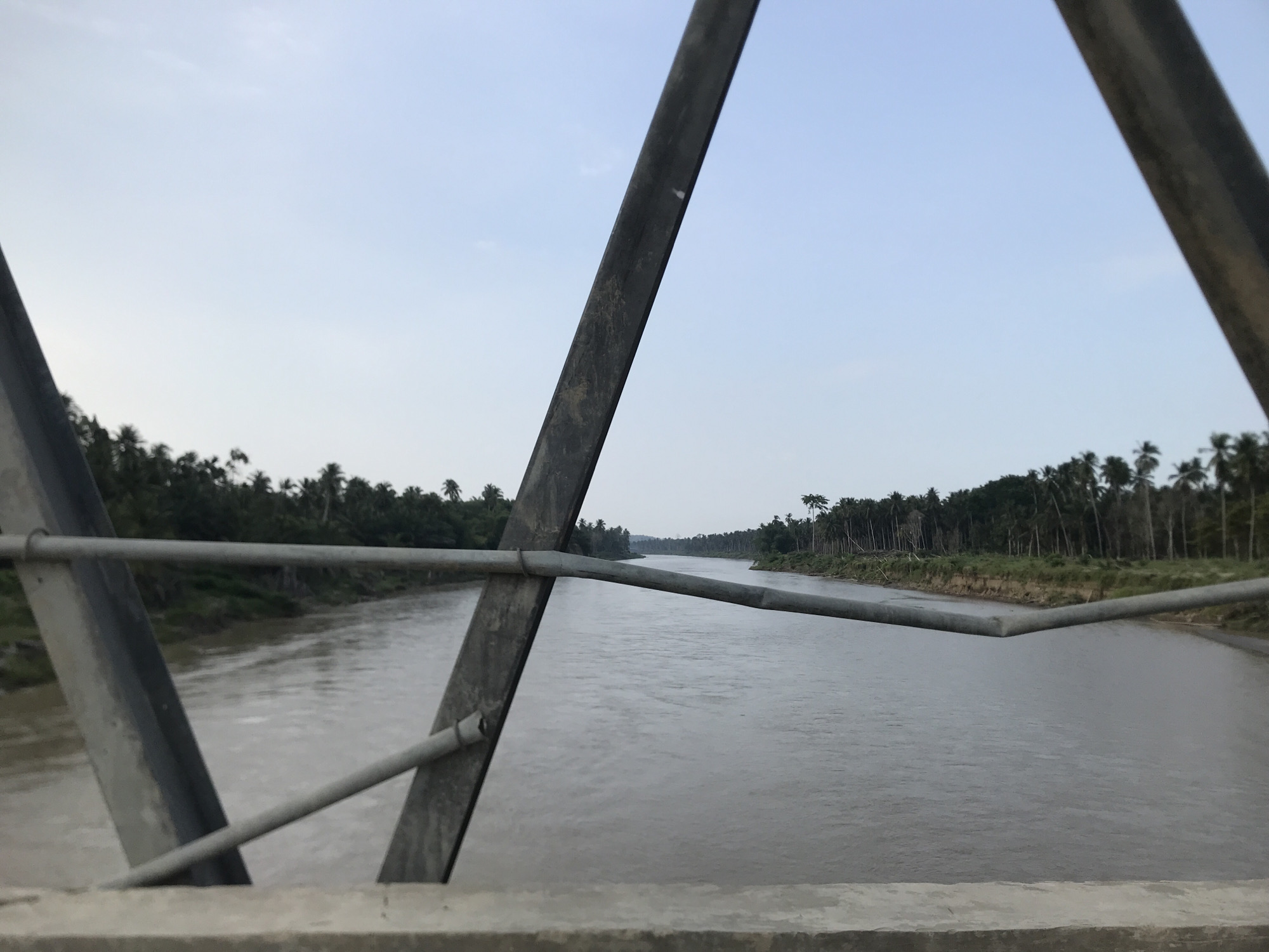 The image captures a serene landscape from the perspective of a bridge, overlooking a wide river in Teupinreudeup, Indonesia. The river, with its murky, brownish-grey water, flows from the distant horizon towards the viewer, occupying the central and lower portions of the frame. Both banks of the river are densely covered with lush, green vegetation, predominantly featuring numerous tall palm trees that line the water's edge and extend into the background. The banks show some slight elevation and exposed earth in parts.
In the foreground, the metal structure of the bridge is a prominent subject. Large, grey, weathered metal beams form a triangular framework, with diagonal supports on both the left and right sides of the image. A horizontal metal railing runs across the mid-ground, providing a barrier and defining the vantage point. A concrete surface, likely part of the bridge deck or railing, is visible at the very bottom edge of the photograph.
The sky above is a clear, pale blue, indicating daylight, possibly early morning or late afternoon given the soft, diffused light. There are no harsh shadows, and only a few faint clouds are discernible. No people or specific activities are visible within the frame, contributing to the tranquil and natural atmosphere of the scene. No visible text is present in the image.