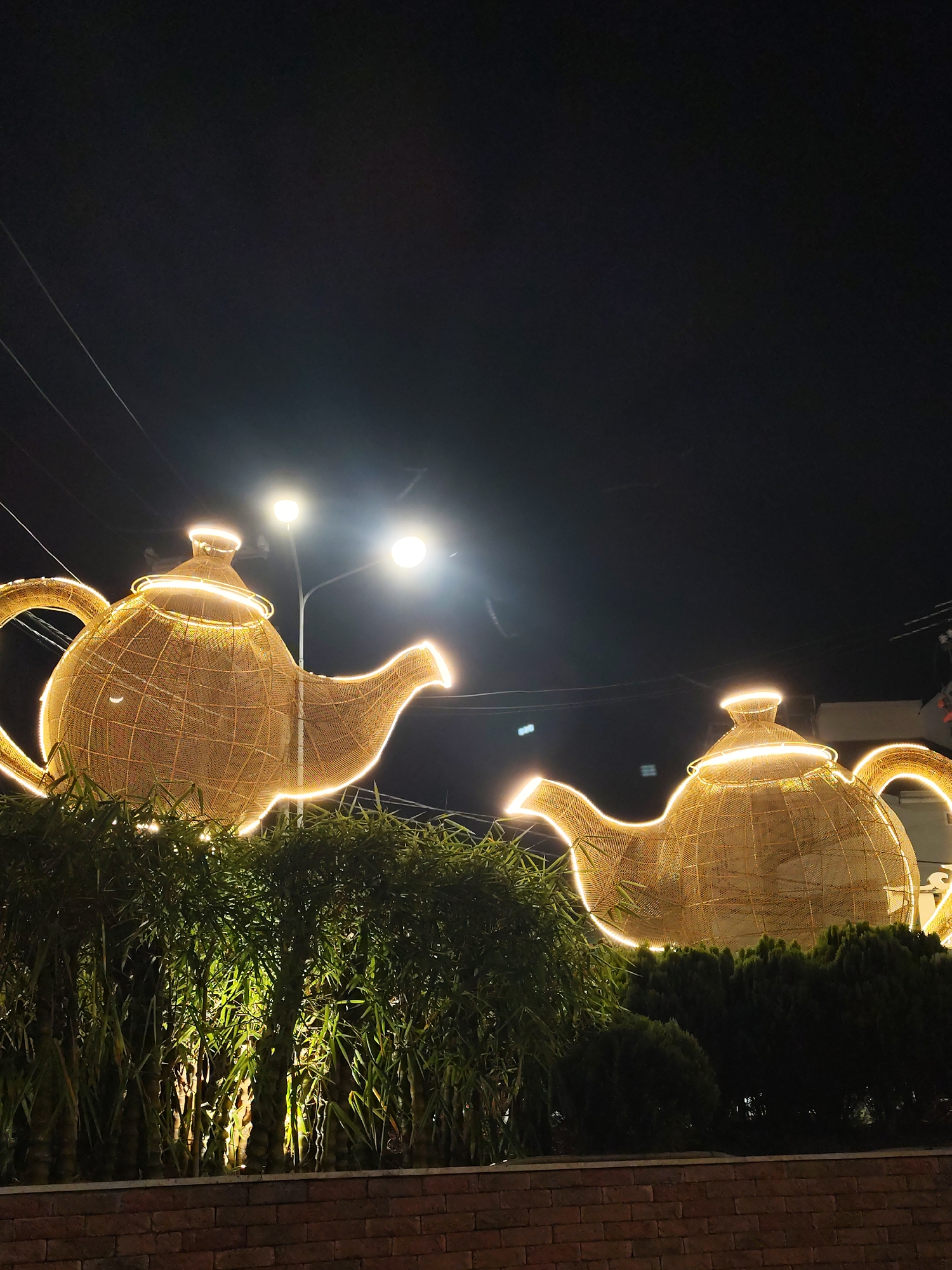 The image presents an enchanting night scene in Da Lat, Vietnam, centered around two large, decorative teapot sculptures illuminated with warm, golden lights. The time of day is clearly night, with a dark, clear sky forming the backdrop, emphasizing the bright artificial lighting.
The two main subjects are oversized teapots, crafted from a woven, golden material, possibly wicker or bamboo, creating an intricate mesh structure. Both teapots are outlined and filled with glowing lights, accentuating their traditional forms, including spouts, handles, and lids. The teapot on the left is more prominent and fully visible, while the one on the right is partially obscured by trees and appears further in the distance.
In the immediate foreground, a dense array of lush green foliage is visible. On the left, tall, slender plants with vibrant leaves, possibly bamboo, are lit from below, adding a dynamic green and yellow hue to the base of the scene. On the right, a mass of shorter, bushier plants creates a darker, textured foreground element. A brick wall or planter bed forms the bottom edge of the image.
In the background, two bright streetlights cast a strong white glow, further illuminating the area. Overhead power lines are faintly visible against the dark sky. There are no people visible, and no specific activity is taking place; the scene appears to be a static display of illuminated art. No text is visible anywhere in the image. The overall atmosphere is one of festive tranquility and whimsical charm, highlighting the unique outdoor decorations.