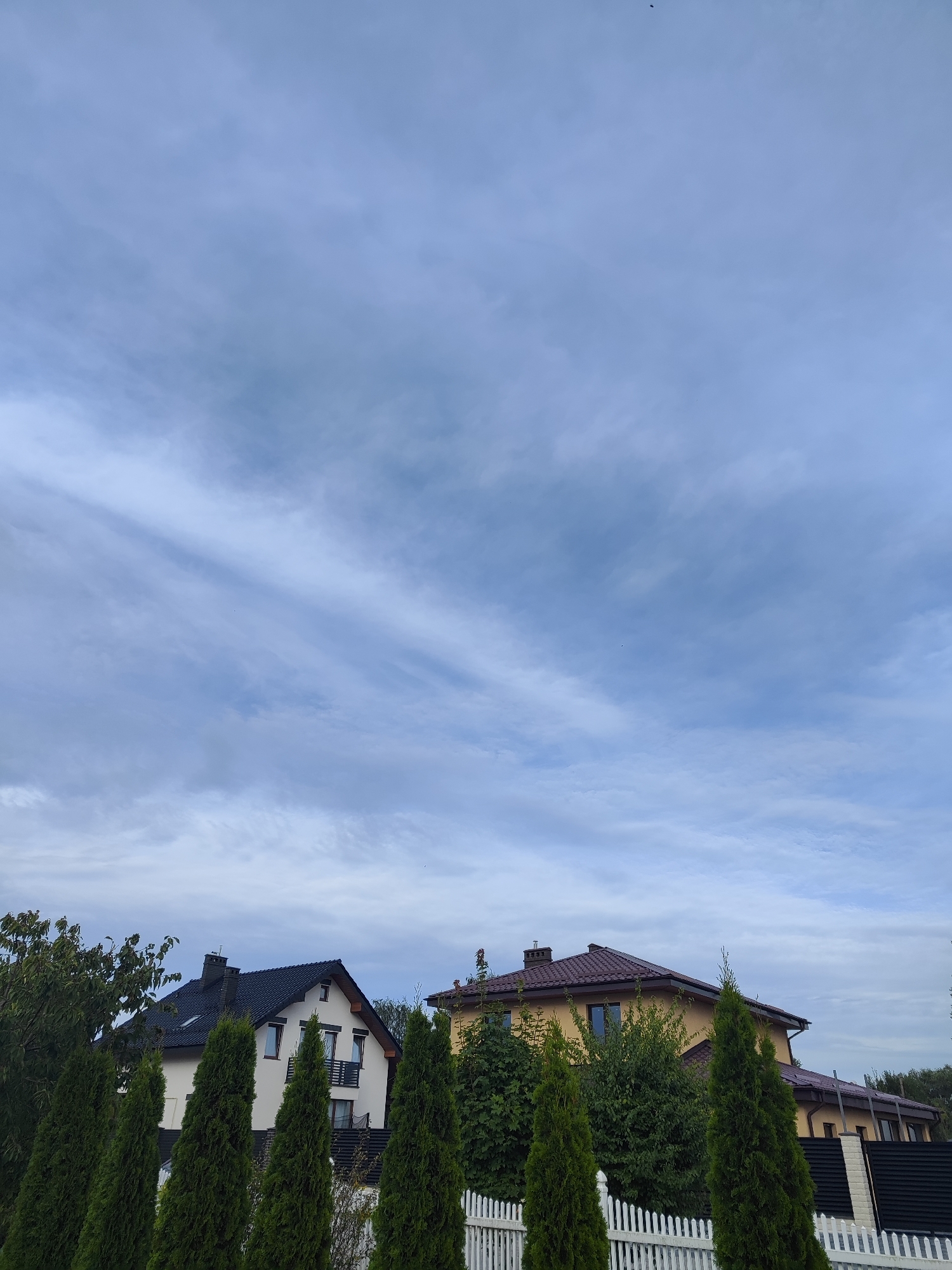 In Gvardeysk, Russia, a photograph captures a view of residential houses under a cloudy sky. The sky is a light blue with wispy white clouds, suggesting a partly cloudy day. In the foreground, several tall, conical green evergreen trees are lined up, partially obscuring the view of the houses. To the left, a white house with a dark roof and black window frames is visible. It has a small balcony on the upper floor. To the right of this house, a larger, yellow house with a dark brown roof and brown window frames is seen. This house appears to be a single-family dwelling. Both houses have chimneys. A white picket fence runs along the bottom of the frame, separating the property from the viewer. The overall scene depicts a suburban or semi-rural residential area on a day with moderate cloud cover.