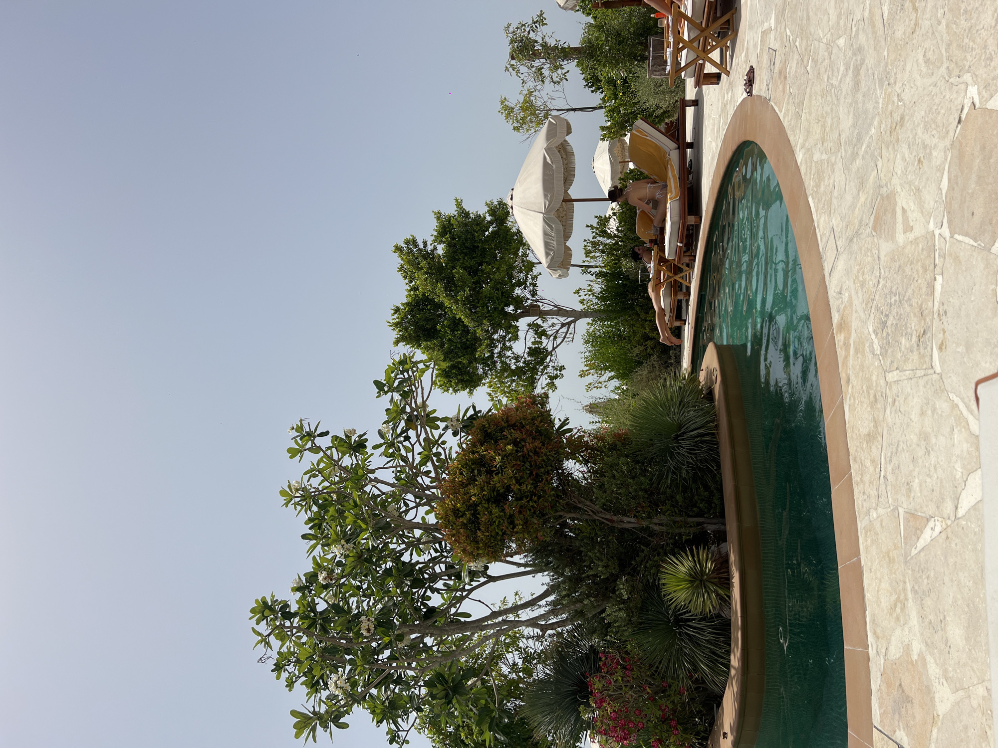 The image depicts a poolside scene in Dubai, United Arab Emirates. A portion of an oval swimming pool is visible, surrounded by light-colored paving stones. Two people are relaxing on lounge chairs next to the pool, partially shaded by a large white umbrella. Lush greenery, including trees, shrubs, and flowering plants, borders the pool area. The sky is clear and blue.