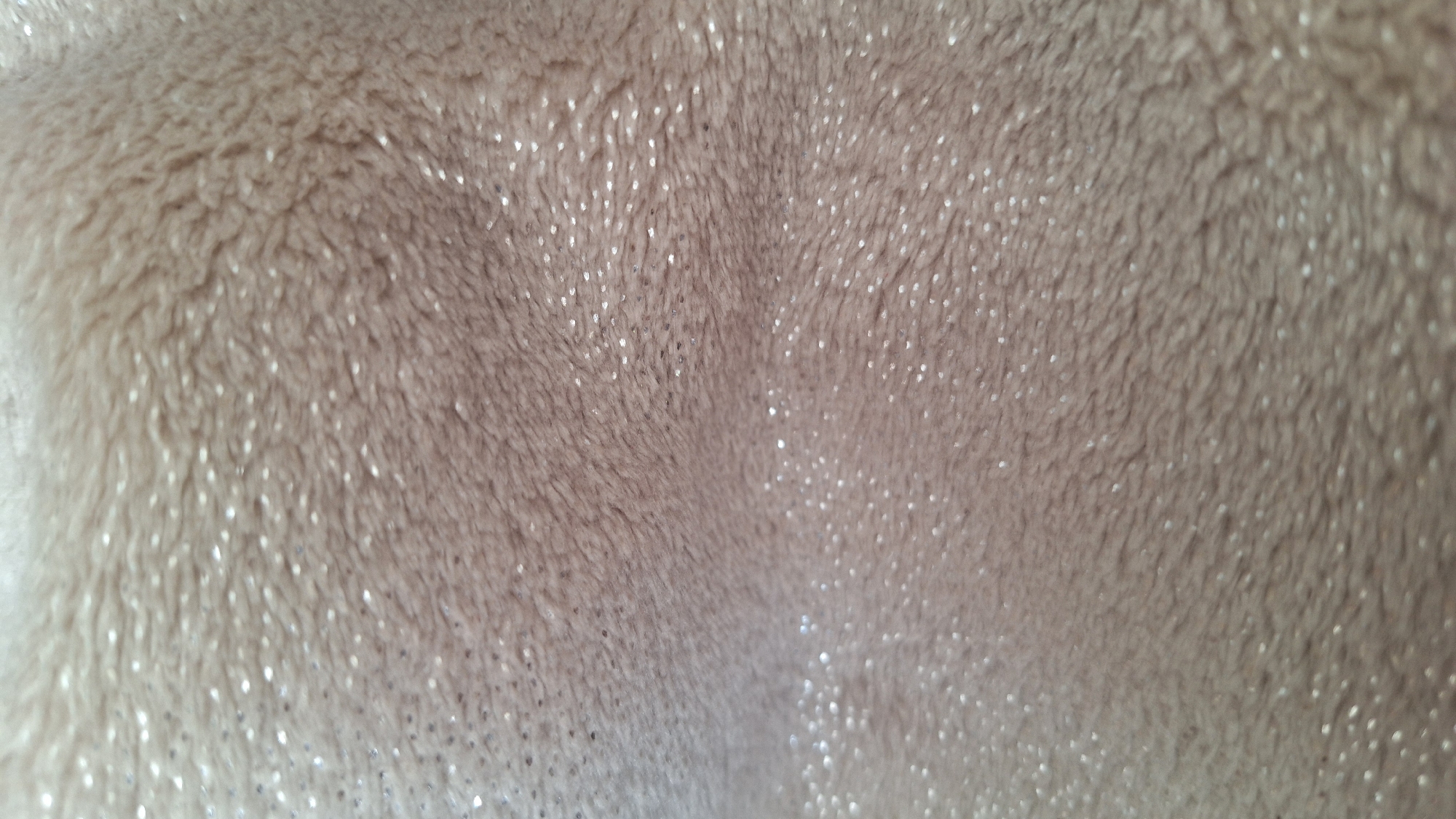 The image shows a close-up, abstract view of a soft, plush fabric with embedded glittery specks. The fabric is a muted, light brown or beige color. The texture appears fluffy and possibly synthetic, with visible fibers and a slightly uneven surface. The glitter specks are small and scattered, catching the light and creating a subtle shimmer. The image is out of focus, emphasizing the texture and light play rather than any specific details. The scene has no identifiable context related to the city of Nogliki, Russia, or any specific objects, people, or actions.