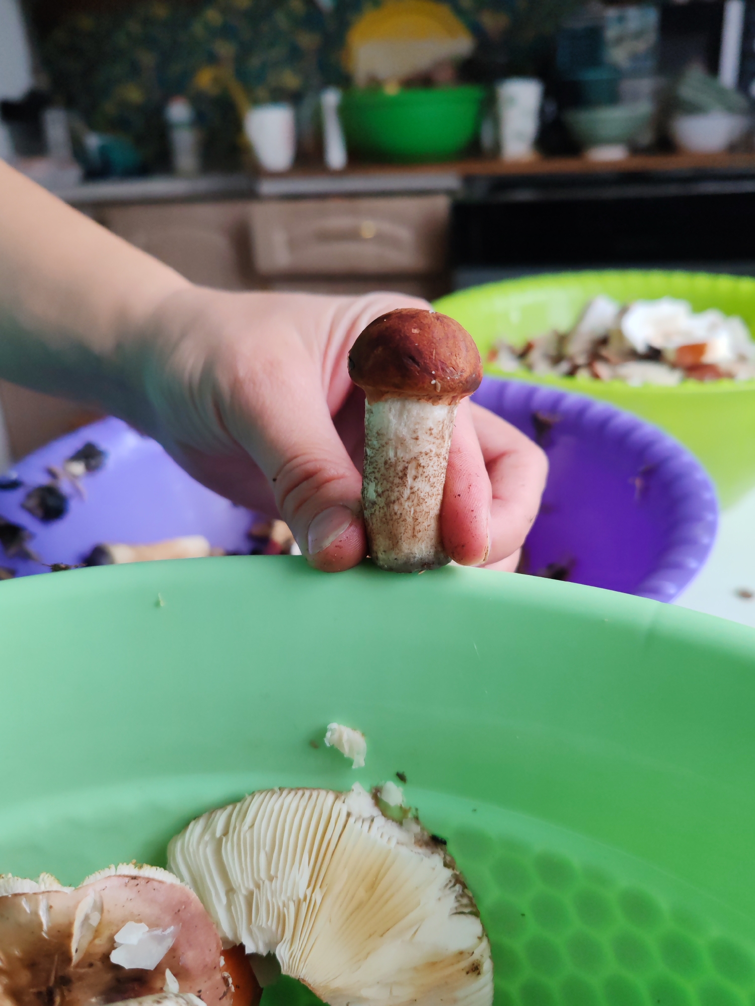 In Чухлэм, Russia, a close-up shot captures a person's hand holding a small, brown-capped mushroom over a bright green plastic bowl filled with chopped mushrooms. Another purple bowl, also containing chopped mushrooms, is visible in the background, alongside a blurred kitchen counter with various containers. The scene appears to be an indoor setting, likely a kitchen, where mushrooms are being prepared.