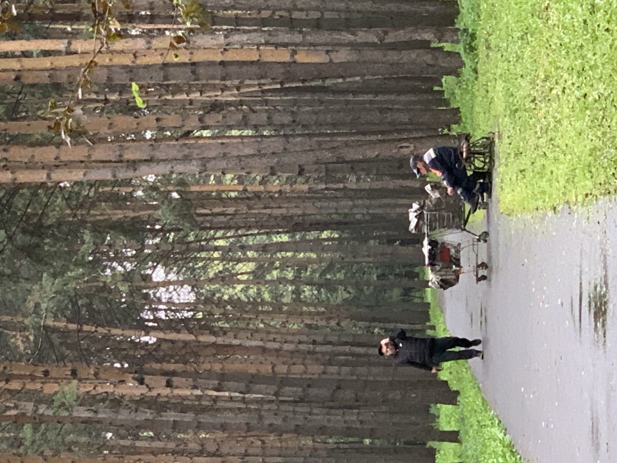 A paved path winds through a dense pine forest. On the left, a man in a black puffer jacket and dark pants walks away from the camera, his hand raised to his forehead. To his right, two shopping carts stand on the path. Further down the path, a person in a dark blue work uniform with orange and grey reflective stripes sits on a small stool next to one of the shopping carts, looking towards the left. The ground is wet, with visible puddles on the path, suggesting recent rain. The forest canopy is dense, with tall, slender pine trees lining both sides of the path. The scene is overcast, contributing to the muted light. This image was taken in the region of Prokopyevsk, Russia.