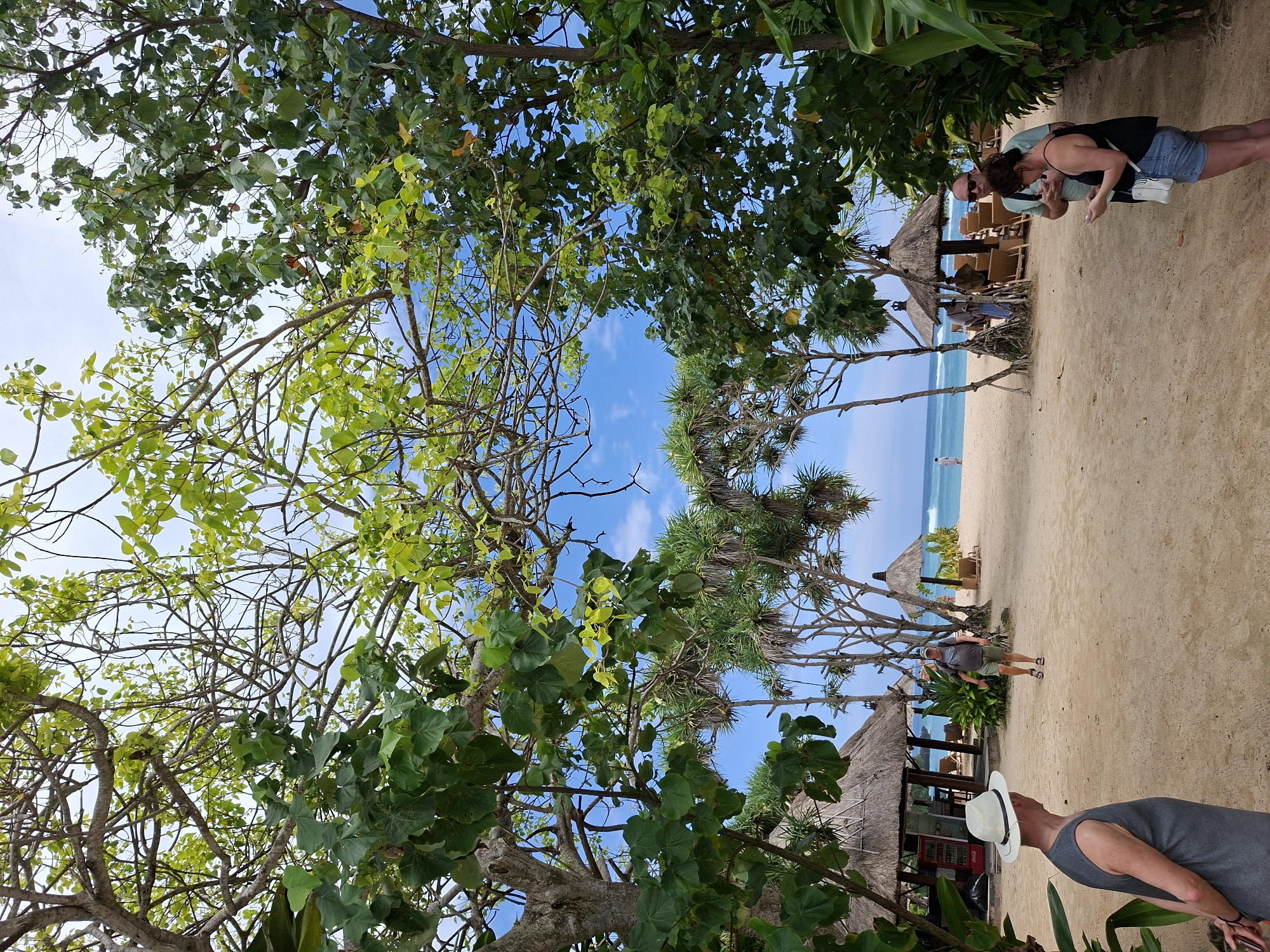 The image shows a view from a beachside location, likely in Kuta Selatan, Indonesia. The foreground is dominated by trees with lush green foliage and bare branches, framing a view of a sandy beach, the ocean, and a clear blue sky with scattered clouds.
Several people are visible on the beach. In the top right corner, a couple is seen, with one person looking at a mobile device. Further down, in the center, another person is standing near a thatched-roof structure. In the lower right corner, a man wearing a hat and a gray tank top is partially visible.
The beach itself is light tan in color and appears to be well-maintained. The ocean is calm with a light blue hue, blending into the sky. The thatched-roof structures are interspersed along the beach, suggesting possible seating areas or small shops.