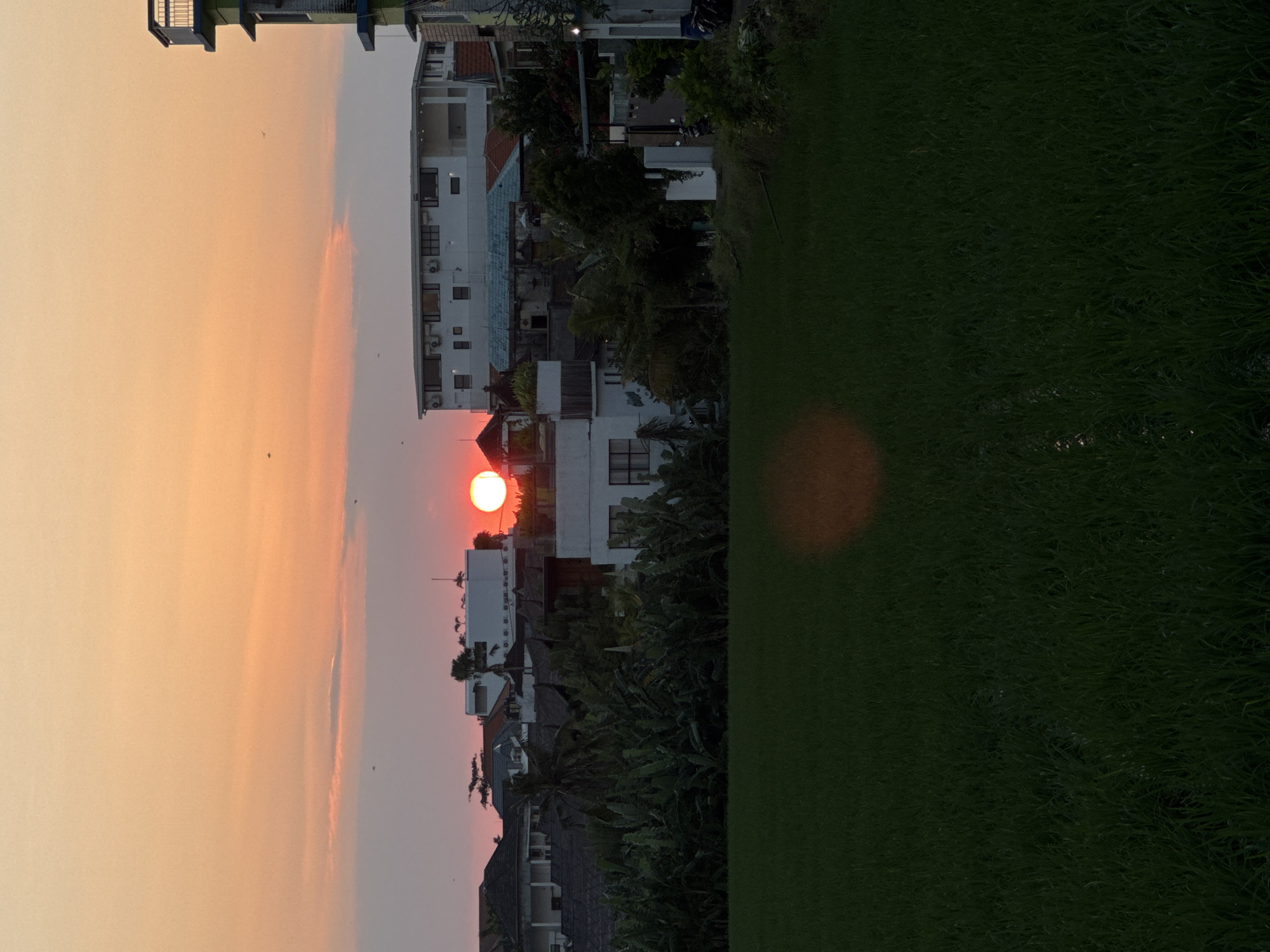 This image depicts a sunset over a rural-urban transitional landscape in North Kuta, Indonesia. The upper third of the frame shows a gradient sky, transitioning from light orange at the top to a deeper orange and pink closer to the horizon, with subtle light grey cloud formations. Several small, dark avian silhouettes are visible against the sky. The bright, circular, red-orange sun is positioned on the left side, partially obscured by architectural structures.
The middle ground features a horizontal band of diverse buildings and dense tropical vegetation. On the left, a cluster of structures with dark, multi-tiered roofs and light-colored walls is partially hidden by lush, dark green banana trees and other foliage. In the center, a prominent white, multi-story building with numerous dark windows and visible air conditioning units stands. To the right, additional residential or commercial buildings are present, including one with a partially visible blue-green upper section and a rooftop balcony with a dark railing. A dense line of dark green, large-leafed plants, likely banana or similar tropical species, forms a visual separation between the structures and the foreground.
The lower half of the image is dominated by a dark green, cultivated field, consistent with a rice paddy, exhibiting varying textures of dense plant growth. A faint, reddish-orange circular lens flare artifact is present in the lower-middle-right portion of the field. No individuals or prominent animals are discernible. The lighting indicates late afternoon or early evening, with the low sun casting a warm glow on the sky and creating darker tones in the foreground elements.
