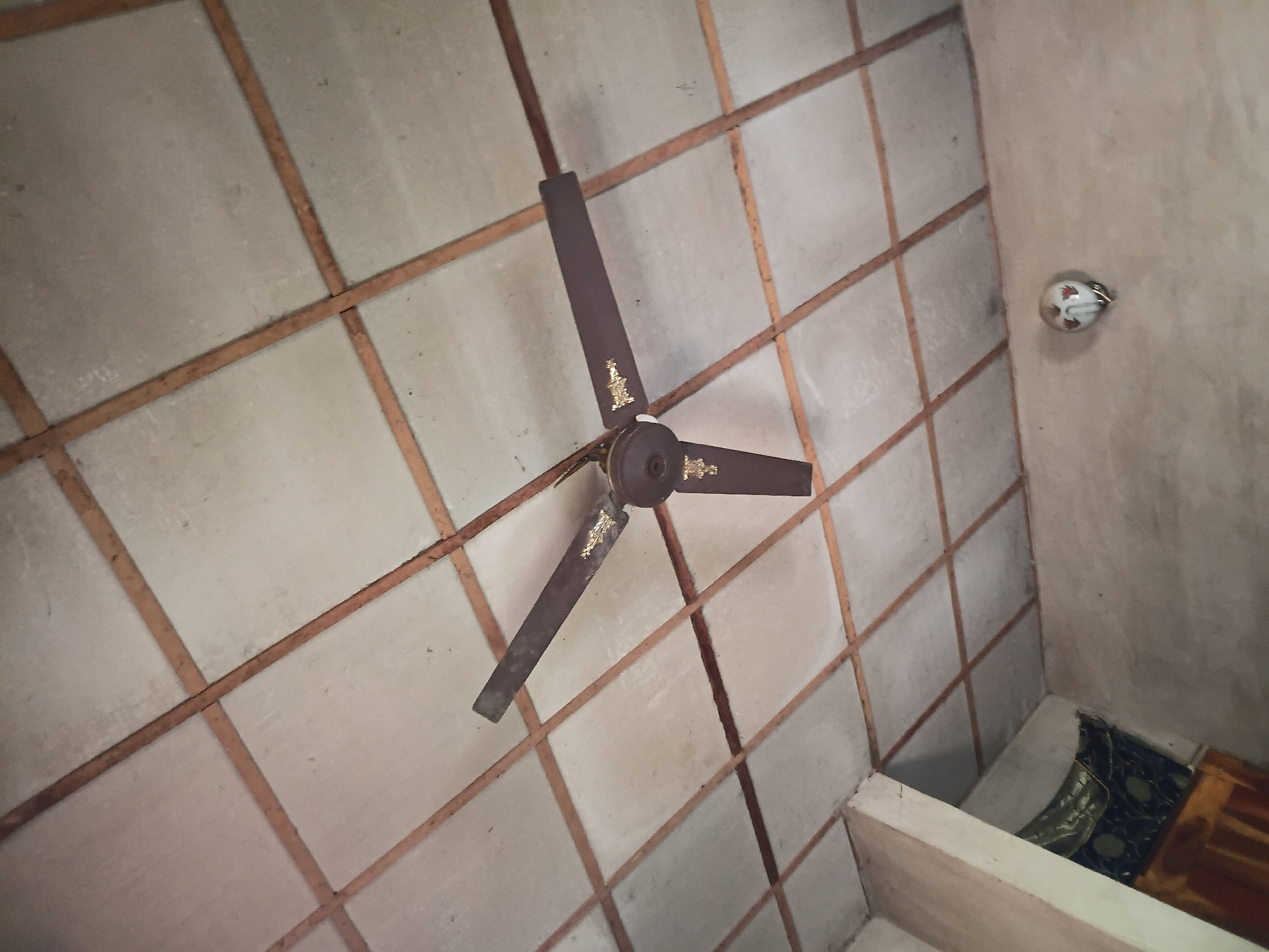 A ceiling fan with three brown blades and decorative gold accents is suspended from a white, grid-like ceiling. The ceiling is constructed from square panels supported by thin wooden beams. Below the ceiling, a light fixture shaped like a small, white head with red markings is visible on a light-colored wall. In the background, a corner of the room shows a partition with dark fabric and a glimpse of orange and gold material. The scene is static and appears to be an interior shot of a room.