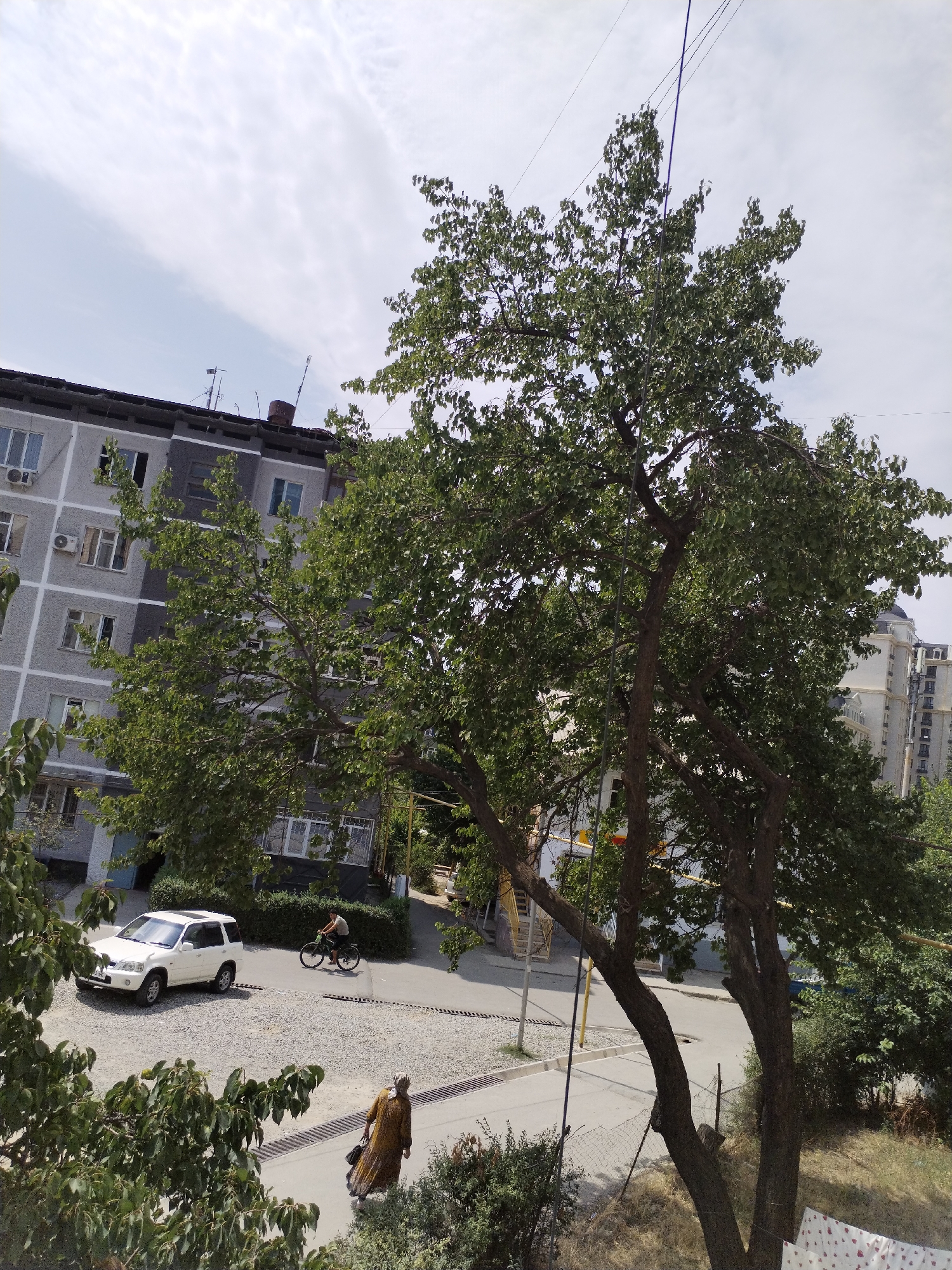 In Osh City, Kyrgyzstan, a street scene unfolds with a multi-story apartment building on the left, a white SUV parked on a gravel lot, and a person riding a bicycle. A woman in a long, brown dress walks along the sidewalk. A large tree with dense green foliage dominates the foreground, obscuring parts of the buildings and sky. The sky is partly cloudy. The architecture suggests a residential area with typical urban elements.