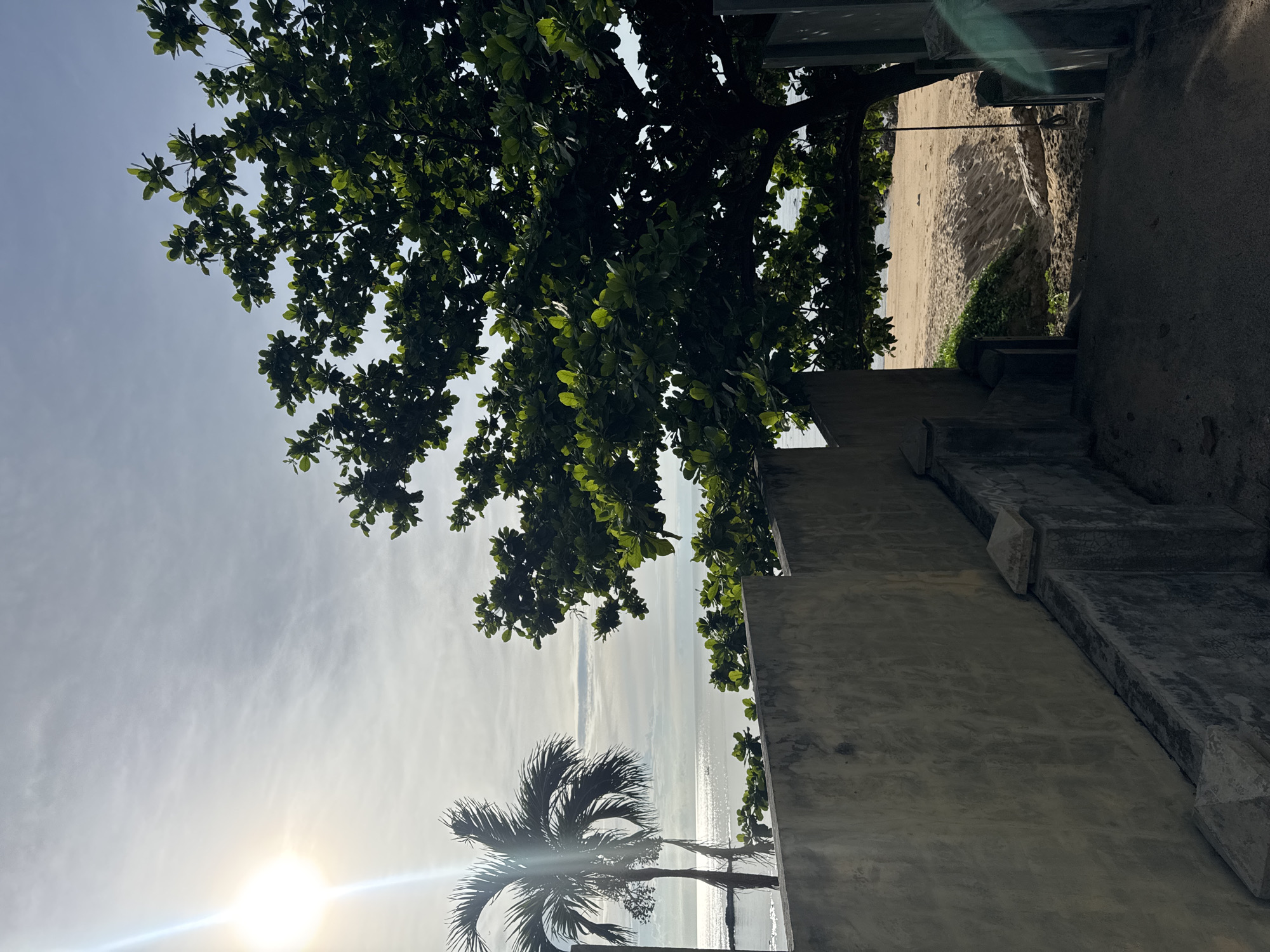 A sunlit tropical beach scene is captured from an elevated vantage point, looking down a pathway towards the sand and sea. In the foreground, a weathered concrete wall and steps lead down to the beach. To the left, a palm tree stands silhouetted against a bright, hazy sky, with the sun's rays creating a lens flare. To the right, a large, leafy tree with dark green foliage partially obscures the view of the beach and ocean. The sandy beach stretches out, with the calm ocean meeting the horizon under a partly cloudy sky. A rope swing hangs from a tree branch on the right side of the frame, near the entrance to the beach. The overall atmosphere is serene and warm.
