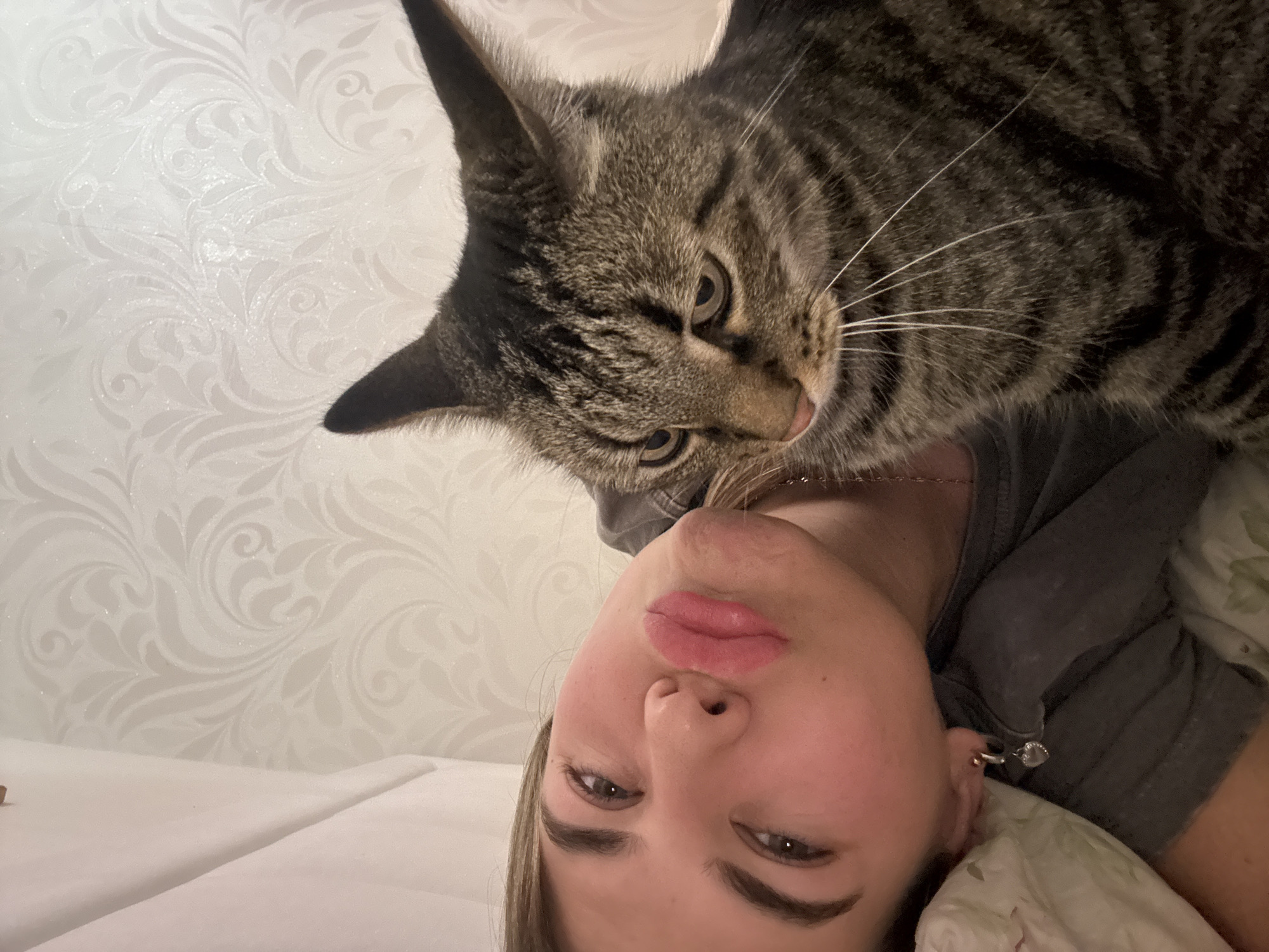 A woman lies supine, viewed from a low, upward-angled perspective, with a tabby cat positioned directly above her face. The woman's face is central in the lower portion of the frame. She has light skin, light brown hair, and her lips are prominent. The cat is positioned above her head, with its head and upper body filling the top portion of the frame. The cat is a tabby with dark stripes and a light brown face. The background shows a white patterned wall. The location cannot be determined to be Chaikovsky, Russia from this image alone.