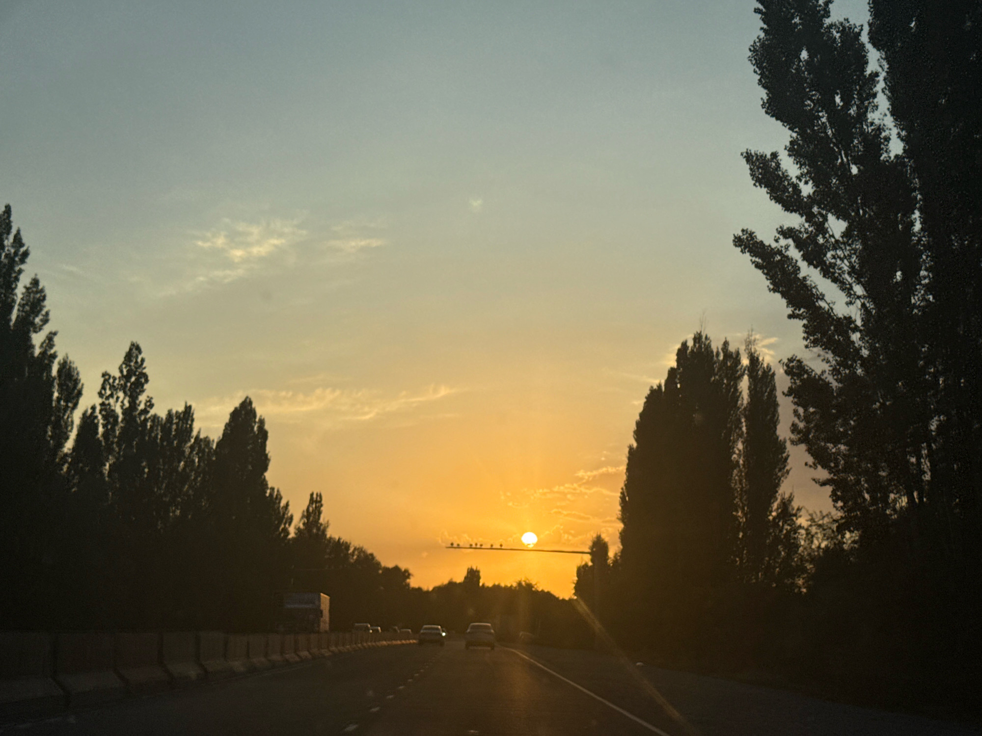 The image depicts a sunset scene from a highway in Gidrostroitel, Kyrgyzstan. The sky transitions from a pale blue at the top to a vibrant orange and yellow near the horizon, illuminated by the setting sun. Several silhouetted trees line the sides of the highway, with tall, slender trees on the right and a denser line of trees on the left. The highway itself is paved, with clear lane markings. Several vehicles are visible on the road, including cars and a truck in the distance. In the middle ground, a power line with several birds perched on it stretches across the frame. The overall mood is serene and atmospheric, characteristic of a sunset drive.
