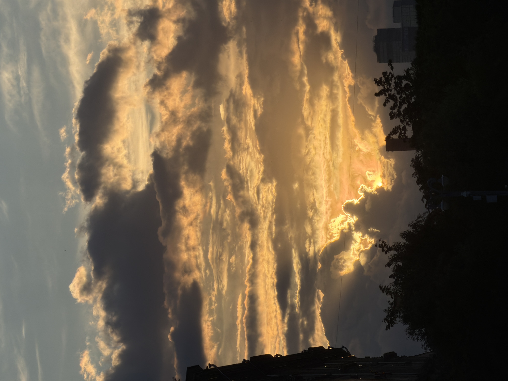 This vertical media file displays a dramatic sky during what appears to be a sunset or sunrise, viewed over an urban or semi-urban setting, likely in Moscow, Russia. The upper left portion of the image features a clearer, light blue sky with some soft, wispy cloud streaks. The majority of the frame is dominated by a spectacular cloudscape, with thick, dark clouds intermingling with those brilliantly illuminated by intense golden and orange light. The sun's rays are visibly breaking through the clouds towards the lower right side of the image, casting a radiant glow and creating strong contrasts and silhouettes.
Towards the right and bottom edges of the image, dark silhouettes of a cityscape and foliage are visible. These include the outlines of tall, rectangular buildings and distinct trees with dense foliage, appearing as dark masses against the bright backdrop of the sky. A lower, dark line, possibly representing rooftops or another structure, can also be seen along the very bottom edge. Small, dark specks, likely birds, are present in the clearer sky areas. There are no people or specific activities depicted. No visible text is present in the image.