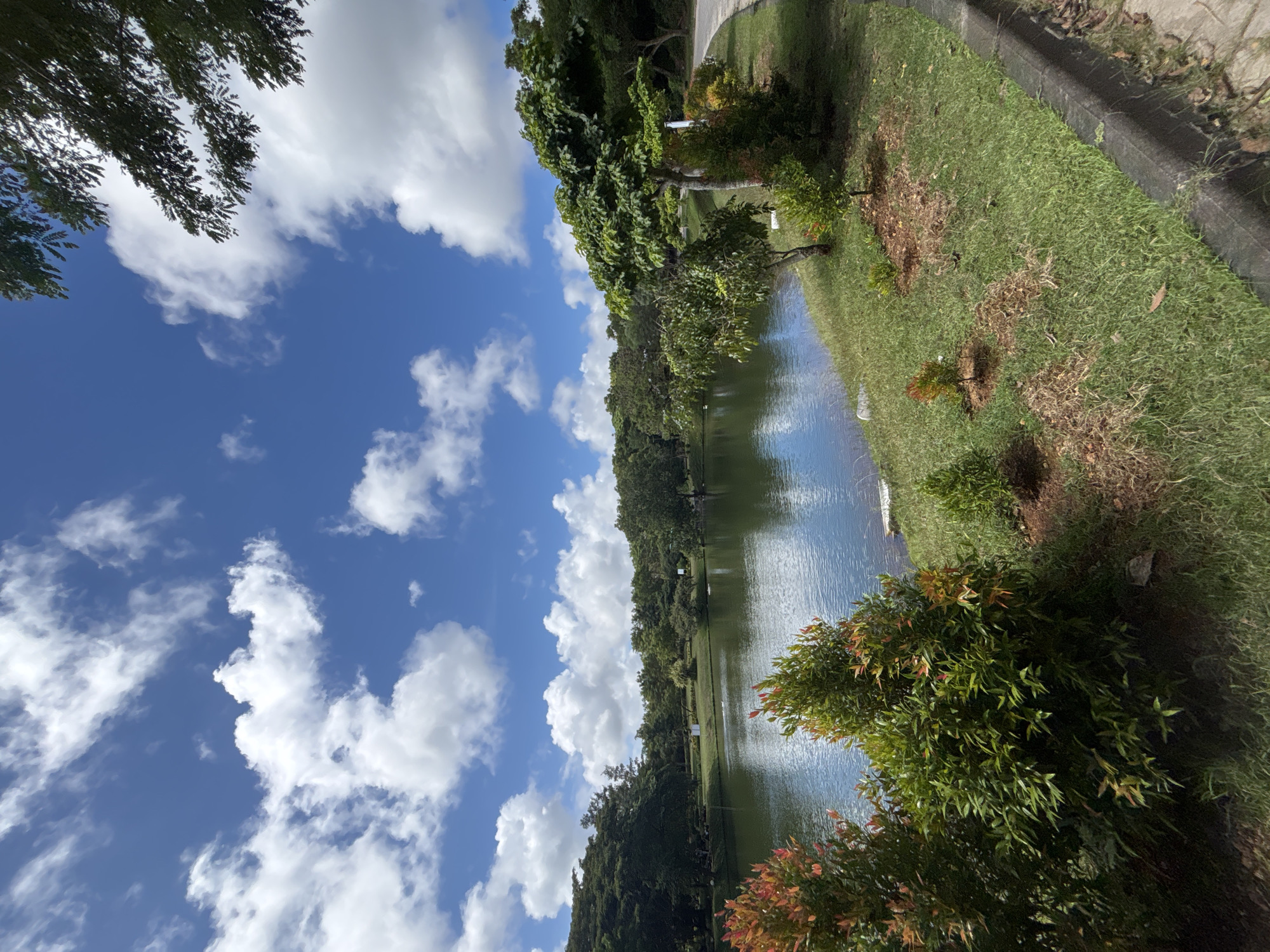 The image shows a body of water, likely a pond or small lake, in Kuta Selatan, Indonesia. The sky above is blue with fluffy white clouds. Lush green vegetation surrounds the water's edge, including trees and bushes. Grass is also visible along the bank. There are no people visible in the frame. A concrete edge or path is visible alongside the grass. The scene appears tranquil and natural.