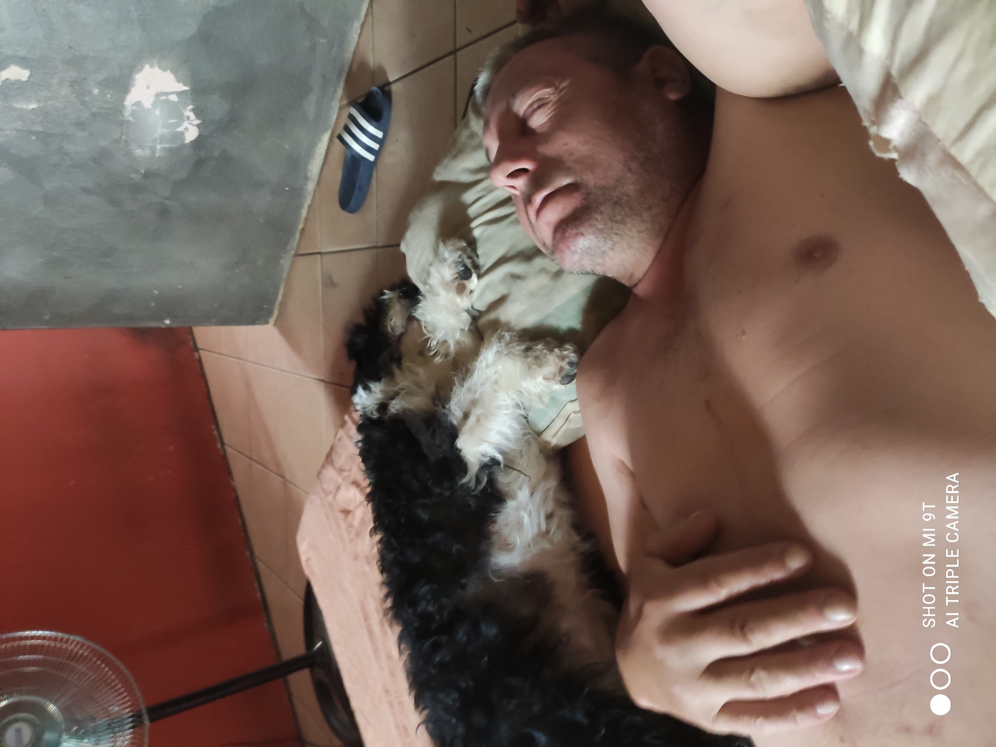 A person is sleeping in a bed next to a dog. The person appears to be an adult male with fair skin and short, light brown hair. He is lying on his back with his eyes closed and his head resting on a pillow. His left arm is resting on his chest, and his right arm is bent at the elbow. The dog is a small, fluffy dog with black and white fur. It is lying on its side, curled up next to the person. The scene appears to be a bedroom. The time of day is not specified, but the lighting suggests it could be daytime or evening. There are no obvious weather cues. The location is Bagnoli di Sopra, Italy. There is no discernible emotion expressed by the person, but the presence of the dog suggests a sense of companionship and comfort. A partial view of a fan is visible in the lower left corner of the image. The text "SHOT ON MI 9T AI TRIPLE CAMERA" is visible in the lower right corner of the image.