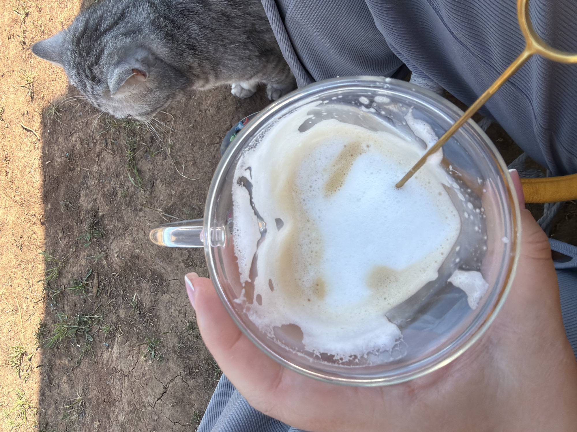 A top-down, outdoor shot shows a hand holding a clear glass mug containing a foamy latte. A gold-colored stirrer is in the latte. The background consists of dry, cracked earth with sparse vegetation. A gray tabby cat is partially visible in the top left corner of the image, and a section of ribbed gray fabric is draped near the mug. The photograph was taken in the city of Chaikovsky, Russia.