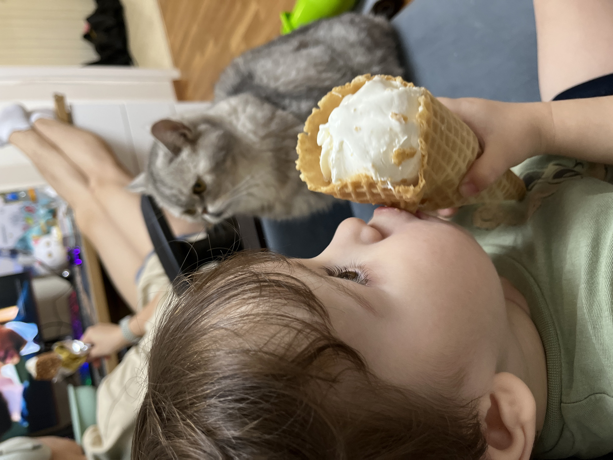 A young child is about to eat an ice cream cone. The ice cream is white and the cone is a standard waffle cone. The child has brown hair and is wearing a light green shirt. A gray cat is in the background, looking toward the ice cream cone. In the background, there is a person lying down with their legs in the air wearing white socks. The picture appears to be taken indoors. I don't see any indication of the city of Chaikovsky, Russia.