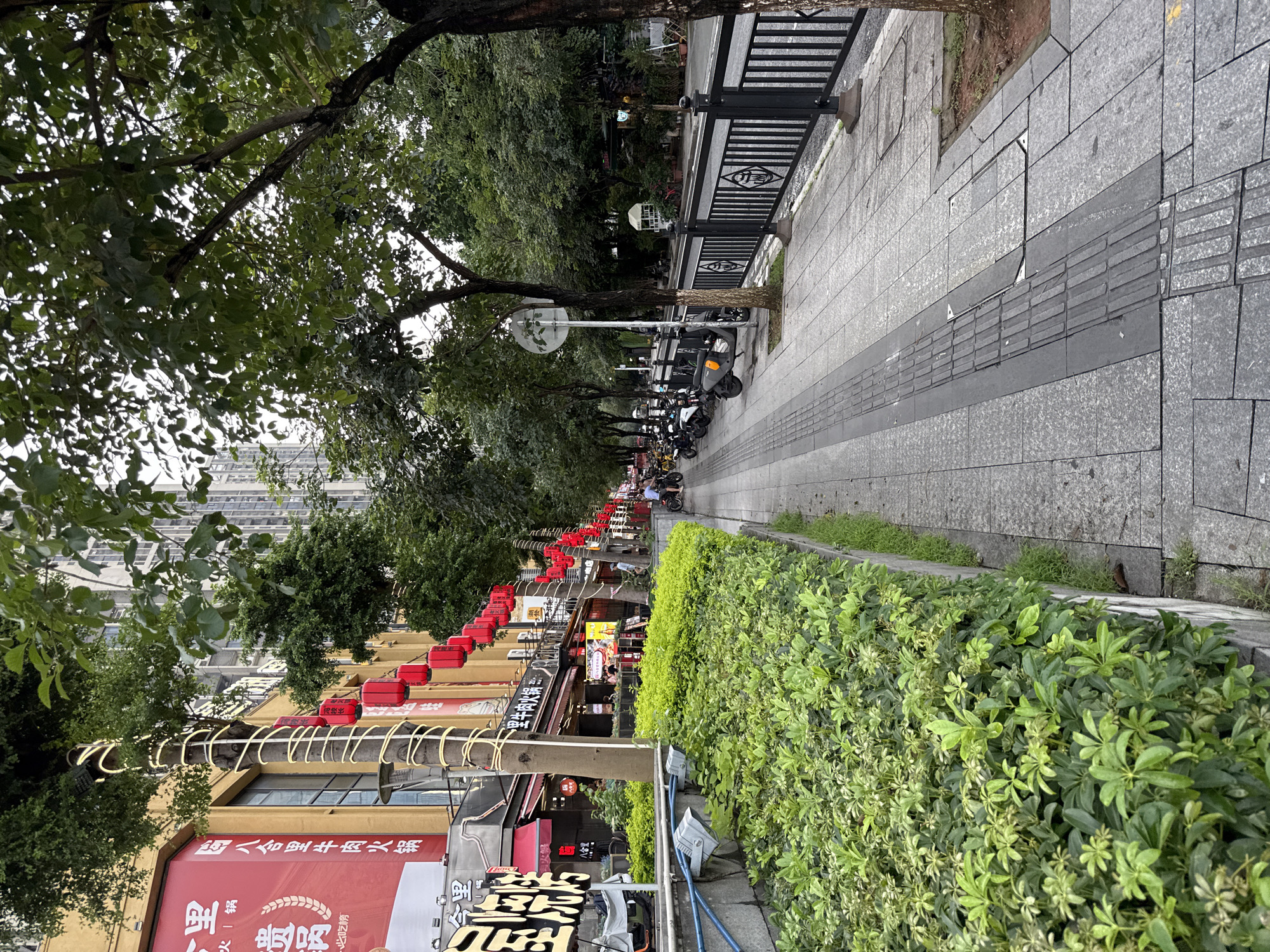 This is a street scene in Haizhu District, China. The image shows a sidewalk with a row of shops on one side and a well-maintained hedge on the other. Red lanterns are strung along the fronts of the shops, suggesting a festive atmosphere or a business that uses them for decoration. Several parked motorcycles and scooters are visible on the sidewalk, indicating this is a common mode of transportation. Tall trees line the street, providing shade. In the background, modern buildings are visible. The lighting suggests it is daytime, possibly overcast or late afternoon, as there are no harsh shadows. The overall scene depicts a busy urban environment with commercial activity. Visible text includes "八合里牛肉火锅" (Ba Heli Beef Hot Pot), a prominent sign for a restaurant, and other Chinese characters that are likely related to the businesses.