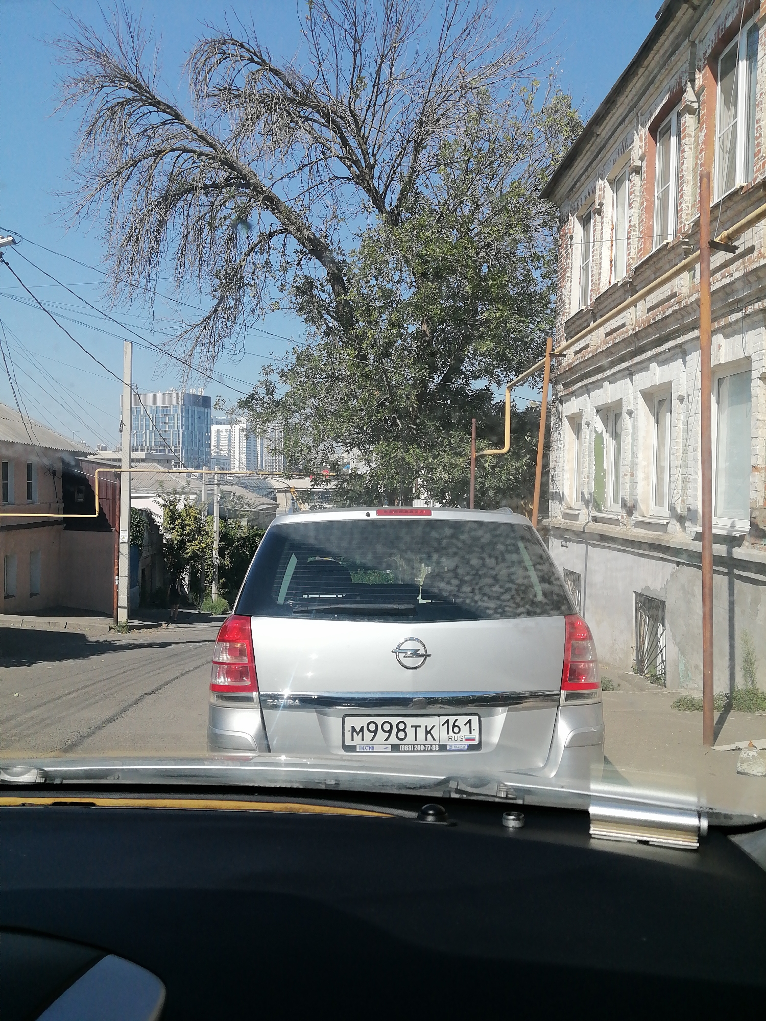 A silver Opel Zafira station wagon is parked on a street in Rostov-on-Don, Russia. The license plate is M998TK161. The car is viewed from the rear, slightly from the left. The street is paved and appears to be in a somewhat older neighborhood, with brick buildings lining one side of the street. A large, bare tree with thin branches is prominent in the middle ground. In the background, modern high-rise buildings are visible, indicating a mix of old and new architecture in the city. The sky is clear and blue. The photo is taken from inside another vehicle, with a portion of the dashboard visible in the foreground.