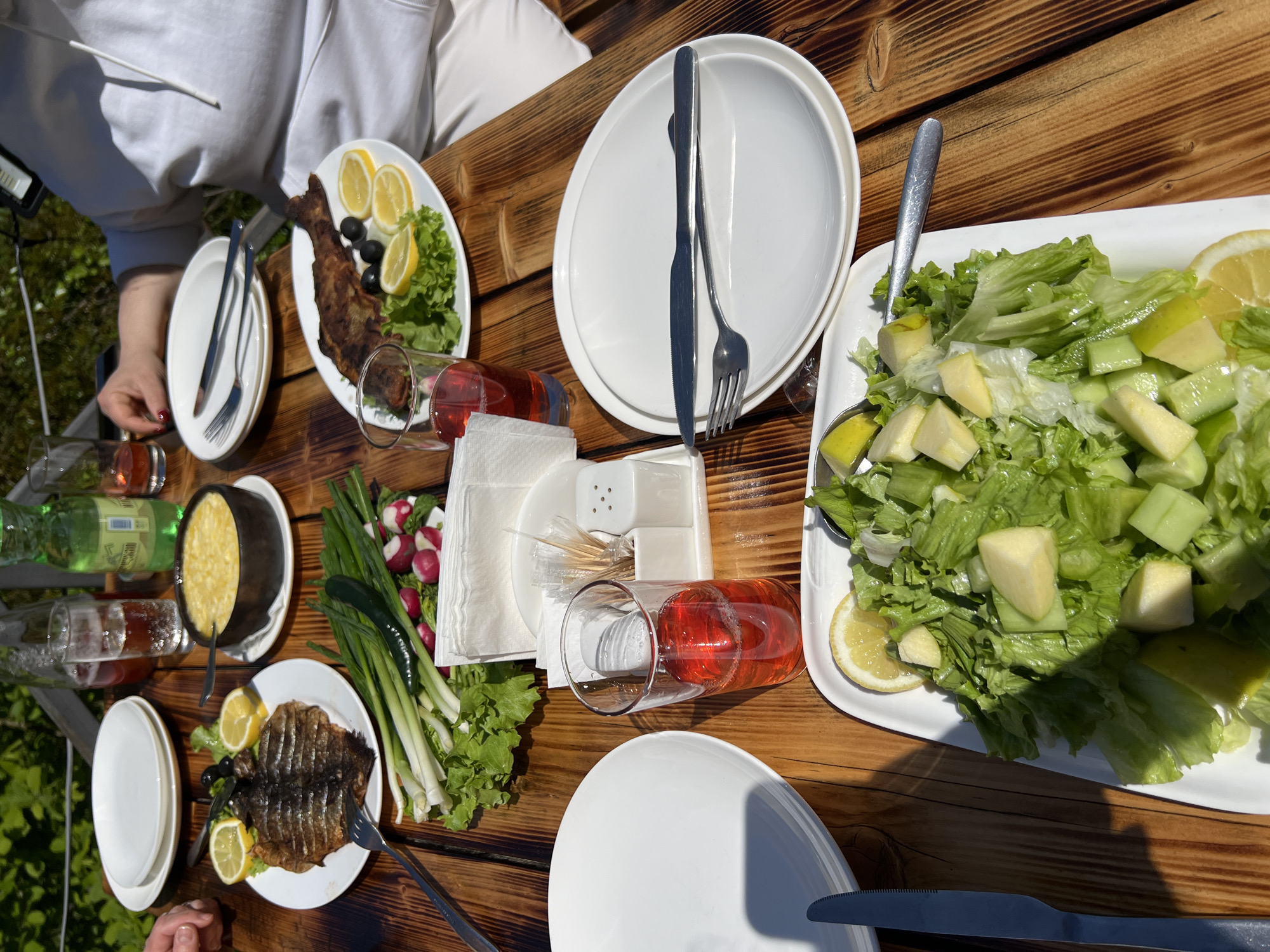 This overhead image captures an outdoor dining experience on a sunny day, likely in Adjaristskali, Georgia. A rustic wooden table is laden with a spread of fresh food and drinks, with people partially visible around it.
The table features multiple servings of grilled or pan-fried whole fish, each presented on a white oval plate with fresh lettuce, black olives, and bright lemon slices. A large rectangular plate holds a vibrant green salad, primarily composed of crisp lettuce, chunky cucumbers, and cubes of light-colored fruit, possibly apples, garnished with a lemon wedge. A dark, round pot, characteristic of traditional Georgian cookware, contains a creamy yellow dish, potentially a cheese-based specialty like Gebzhalia or Elarji, served with a spoon. A fresh assortment of green onions, radishes, and additional lettuce leaves is also arranged on the table.
Beverages include several glasses filled with a reddish liquid, possibly fruit compote or wine, and green-labeled bottles, one faintly showing "GEORGIA."
Visible human elements include hands reaching for food and cutlery, and the upper torso of a person wearing a white hoodie. The table is set with white plates, forks, and knives, along with white napkins, a salt and pepper shaker set, and toothpicks. Bright sunlight creates distinct shadows, emphasizing the outdoor setting. Lush green foliage is visible in the background, suggesting a natural or garden environment. The scene portrays a relaxed and fresh meal enjoyed outdoors.