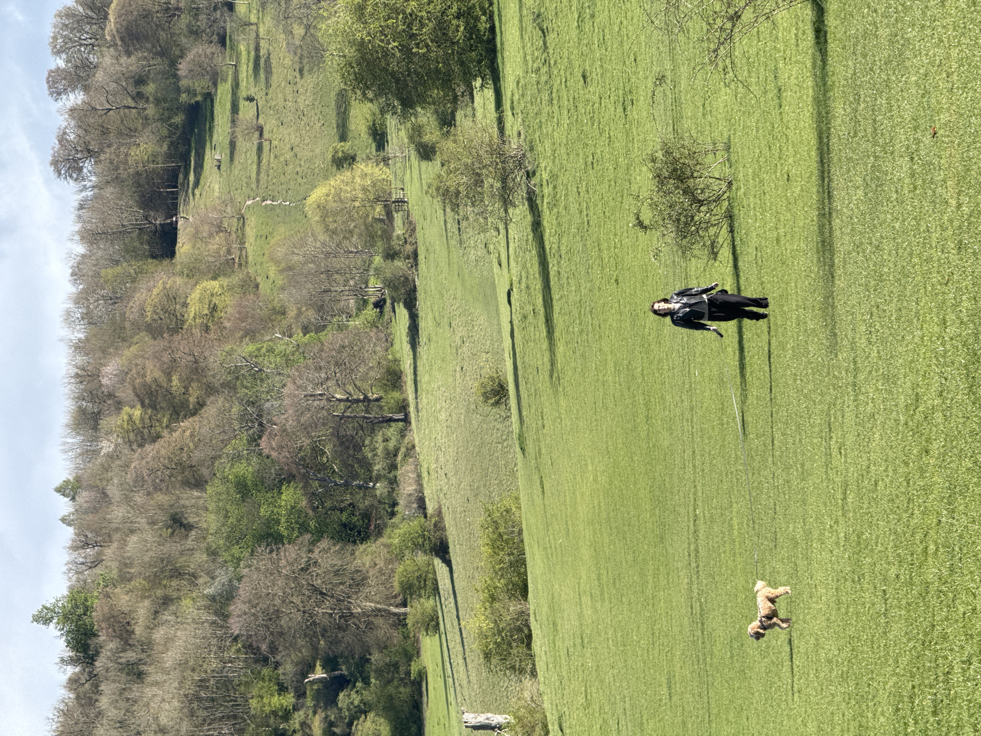 The image depicts a rural landscape in Dacorum, United Kingdom. A grassy hillside is dominated by a vibrant green meadow. A person lies prone in the grass. A dog stands near the bottom right of the image. A line of trees runs along the left side of the frame.