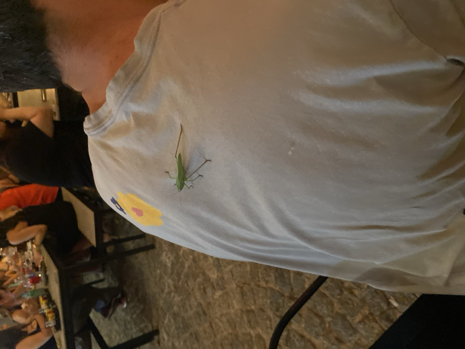 A green grasshopper clings to a person's light-colored t-shirt, which features a yellow flower design near the shoulder. The person is at a table in a restaurant with other people. The restaurant has a stone floor. The focus is on the insect and the fabric of the shirt, with the surrounding environment visible in the background.