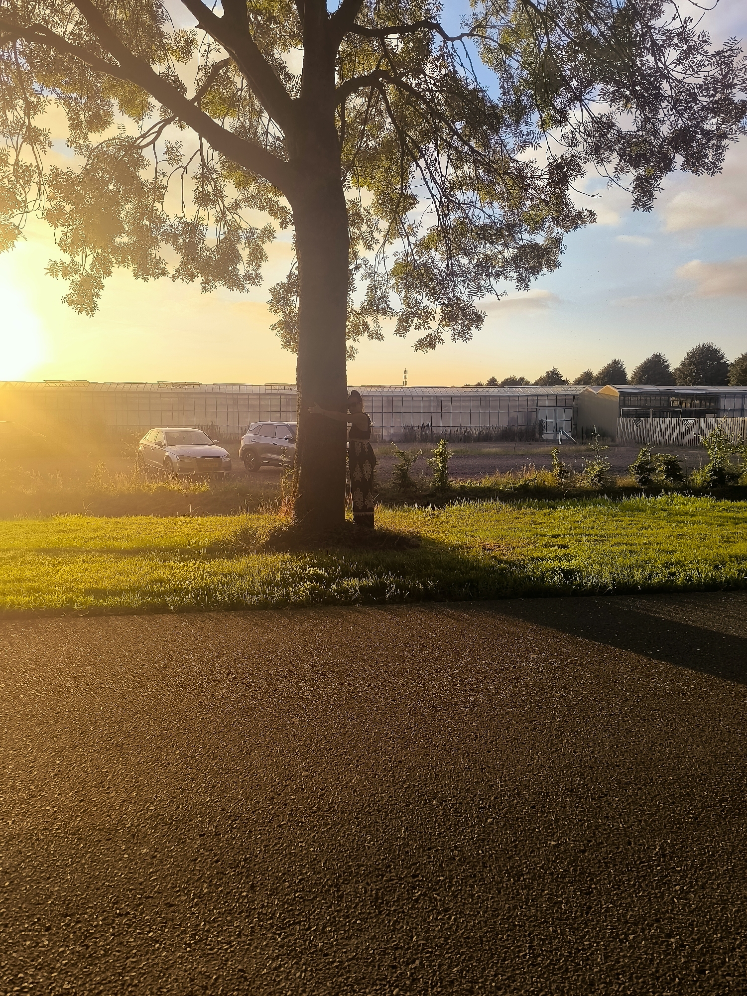 This media file captures a sunset scene in Almere, Netherlands. The foreground is dominated by a paved surface, likely a road or pathway, casting long shadows. Beyond this, a lush green lawn bathed in the warm, golden light of the setting sun.
In the mid-ground, a solitary tree stands tall, its branches reaching towards the sky. A person, appearing to be a woman with her hair tied up, is embracing the tree, her back to the camera. She wears a patterned skirt and a dark top. Two cars are parked near the tree: a silver hatchback and a dark grey SUV.
In the background, a long row of greenhouses stretches across the landscape, suggesting an agricultural or horticultural area. The sky is a mix of soft blues and whites, with wisps of clouds, illuminated by the vibrant hues of the sunset. The overall atmosphere is serene and peaceful, with the warm lighting creating a sense of tranquility. The time of day is clearly evening, indicated by the low angle of the sun and the long shadows. No visible text is present in the image.