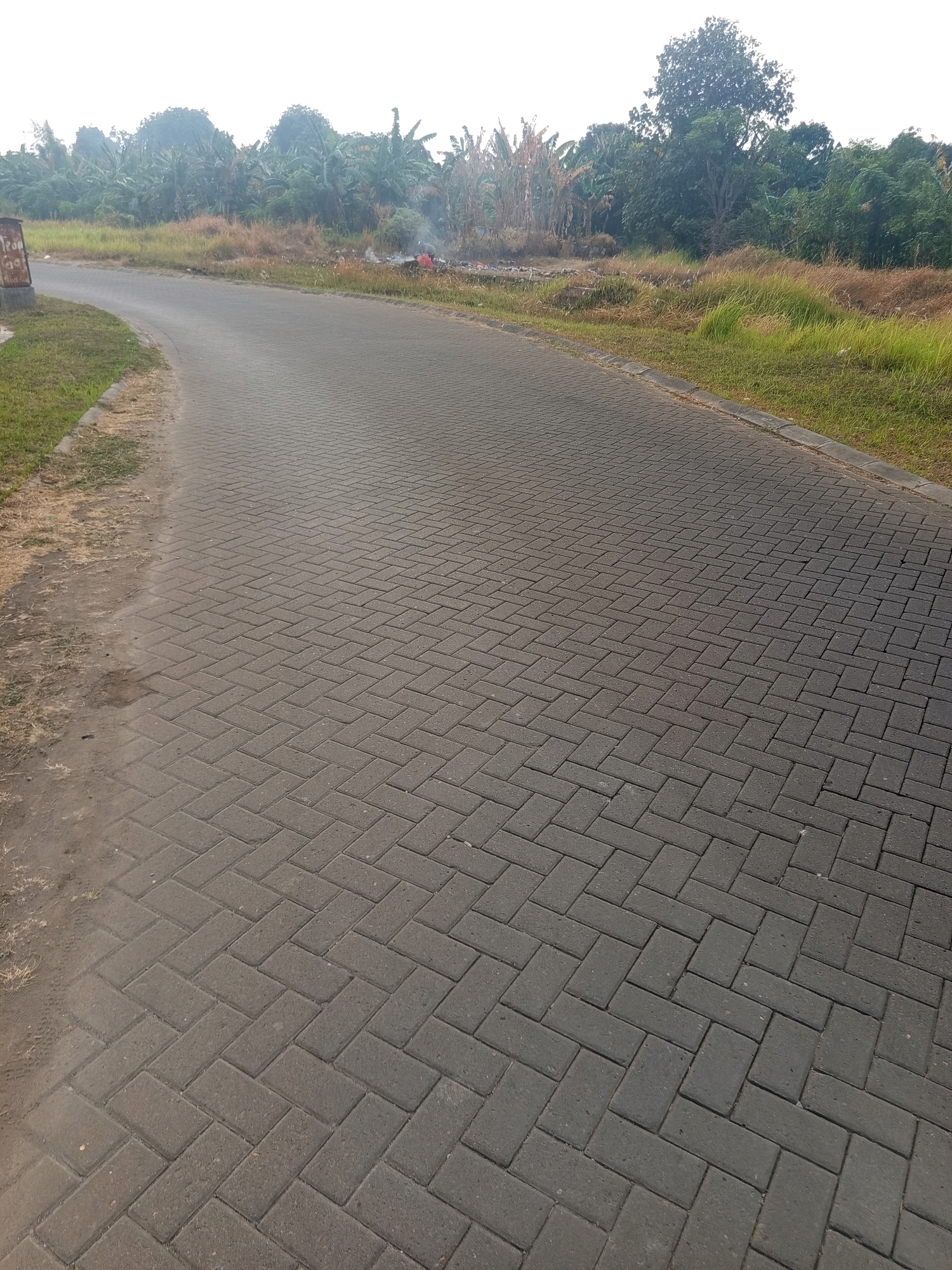 The image depicts a paved road in a rural or semi-rural area of West Jakarta, Indonesia. The road is constructed with dark gray interlocking pavers laid in a herringbone pattern. To the left of the road, there is a strip of dry, yellowish-brown grass and dirt, with some green grass further to the left. A small, weathered signpost with Indonesian writing is visible on the far left. The right side of the road is bordered by a strip of green grass. In the background, there is dense vegetation, including trees and what appear to be banana plants. A small plume of smoke rises from the vegetation on the right side of the road, suggesting a small fire or smoldering material. The sky is overcast and hazy.