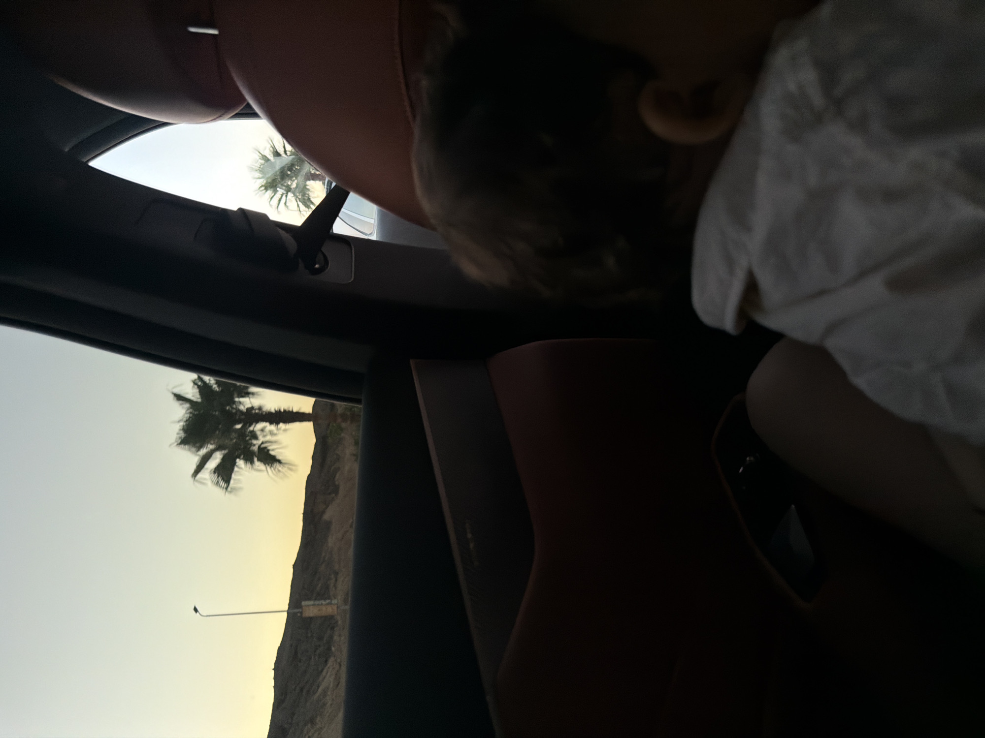 The image, captured from inside a car, looks out at a desert landscape in Sharm El Sheikh, Egypt, during twilight. The sky exhibits a soft gradient of pale yellow near the horizon, transitioning to a clear, light blue above. A solitary, slender streetlight stands tall on the left side of the frame, positioned against a backdrop of gently sloping, arid hills. To the right of the streetlight, a palm tree with sparse fronds reaches upwards, its silhouette dark against the sky. Further in the distance, another palm tree is visible, partially framed by the car's window.
Inside the car, the interior is dominated by dark tones, with the reddish-brown leather of the car seats creating a rich contrast. A portion of a young child, facing away from the camera, is visible in the foreground, wearing a white collared shirt. The child's head and ear are discernible, with their hair appearing dark and curly. The lighting suggests it is either early morning or late evening, the sun low on the horizon. The overall atmosphere is serene, indicative of a quiet journey through a picturesque, warm climate.