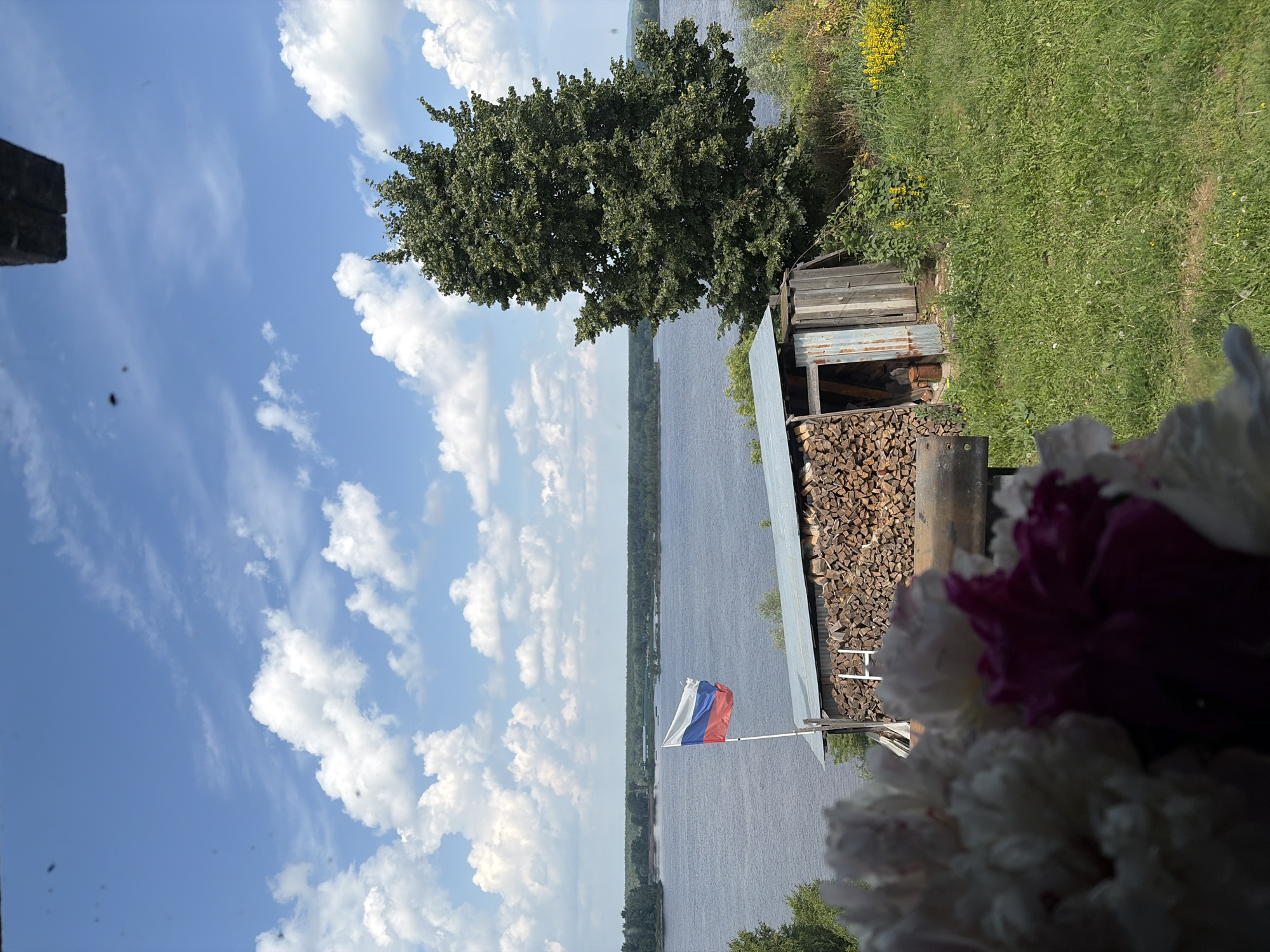 The image depicts a natural landscape scene from Olkhovka, Russia, under a bright, cloudy sky. In the foreground, out-of-focus pink and white peony flowers are visible. A wooden shed, partially covered with a metal roof, stands to the right of a large pile of neatly stacked firewood. The shed appears to have an open entrance revealing stacked items within, and a rusty metal sheet adorns one side. A Russian flag, fluttering on a pole, is positioned in front of the shed and to the left of a tall, leafy green tree. Beyond the shed and tree, a wide, calm river stretches across the horizon, bordered by a dense line of trees. The ground is covered with green grass and yellow wildflowers. The overall impression is a serene, rural setting with elements of human habitation.