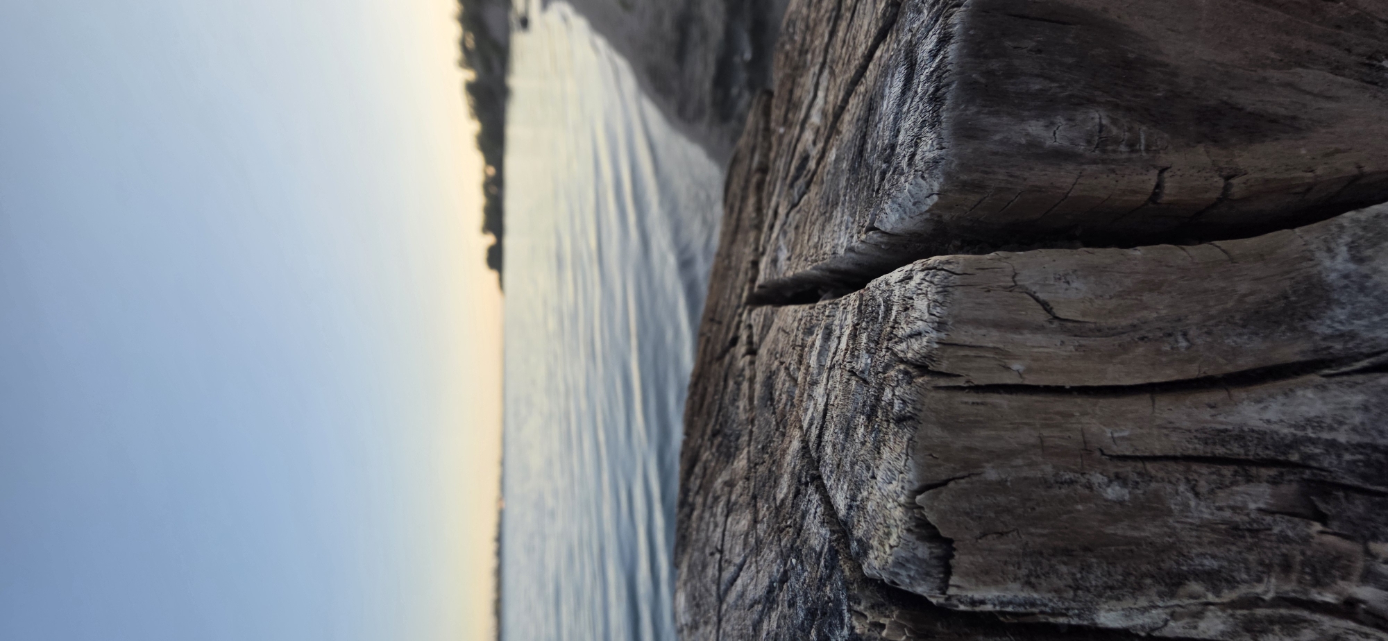 The image shows a close-up of a weathered wooden stump in the foreground, with a body of water and a distant shoreline in the background. The stump is rough and cracked, showing the grain of the wood. The water is calm with gentle ripples, reflecting the clear blue sky. The shoreline is lined with trees and appears to be a natural landscape. The lighting suggests it might be sunrise or sunset, with a soft glow on the horizon. The scene is peaceful and natural. The location is specified as Issyk-Kul, Kyrgyzstan. There are no people or specific actions depicted.