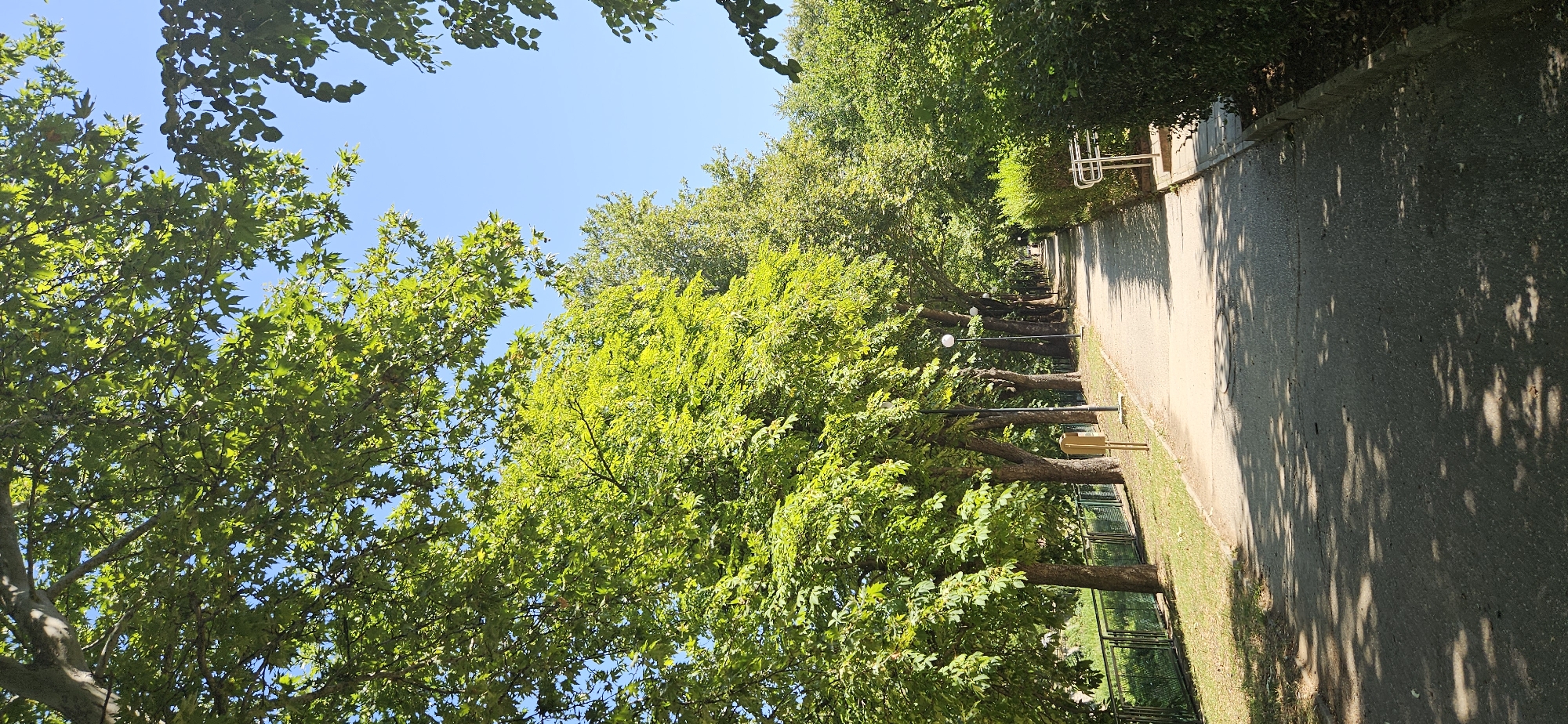 The image depicts a sun-dappled park pathway in Blagoevgrad, Bulgaria. The pathway, made of asphalt, is bordered on the left by a grassy area with a black metal fence and mature trees with lush green foliage casting shadows on the ground. On the right, the pathway is bordered by a neatly trimmed green hedge. Several lampposts are visible along the pathway. In the distance, a person is walking, and the pathway continues to curve out of view. The sky is a clear blue. The overall impression is of a tranquil, tree-lined avenue within a city park.