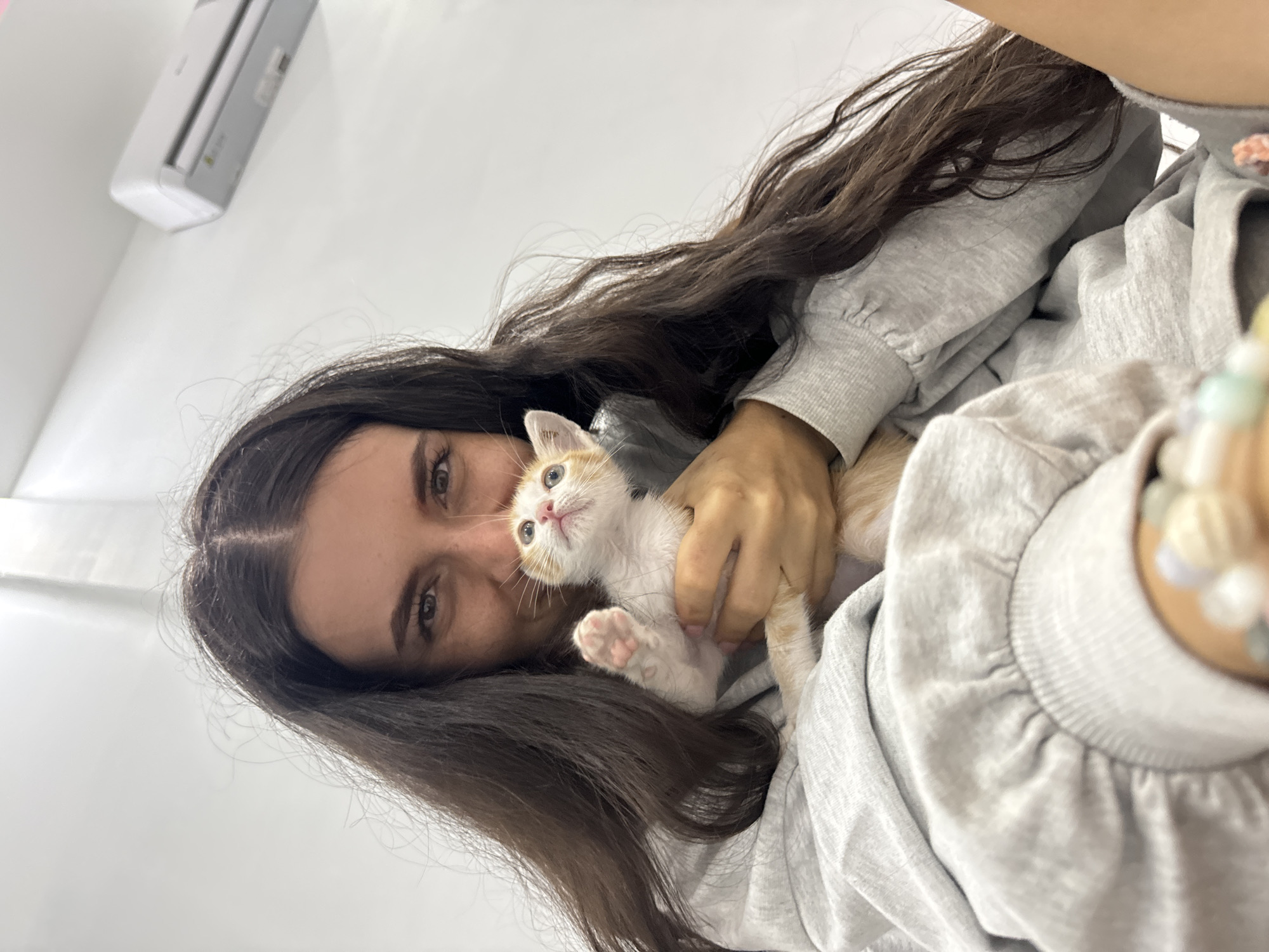 A young woman with long, dark, wavy hair is featured prominently, looking directly at the viewer with a neutral to slightly pleasant expression. She is wearing a grey, long-sleeved sweatshirt with gathered details at the cuffs and collar. A light-colored, beaded bracelet is visible on her right wrist.
Cradled in her arms, close to her face, is a small kitten. The kitten is predominantly white with patches of light orange or ginger fur, particularly on its head and back. It has light-colored eyes and is looking upwards with an alert, curious, or slightly surprised expression. Its small pink paw pads are visible as it lifts one front paw.
The setting appears to be indoors against a plain white wall. In the upper left background, a white air conditioning unit is mounted on the wall, suggesting a warm climate, which aligns with the location context of Mũi Né, Vietnam. The overall impression is one of affectionate interaction between the woman and the kitten. There is no visible text in the image.
