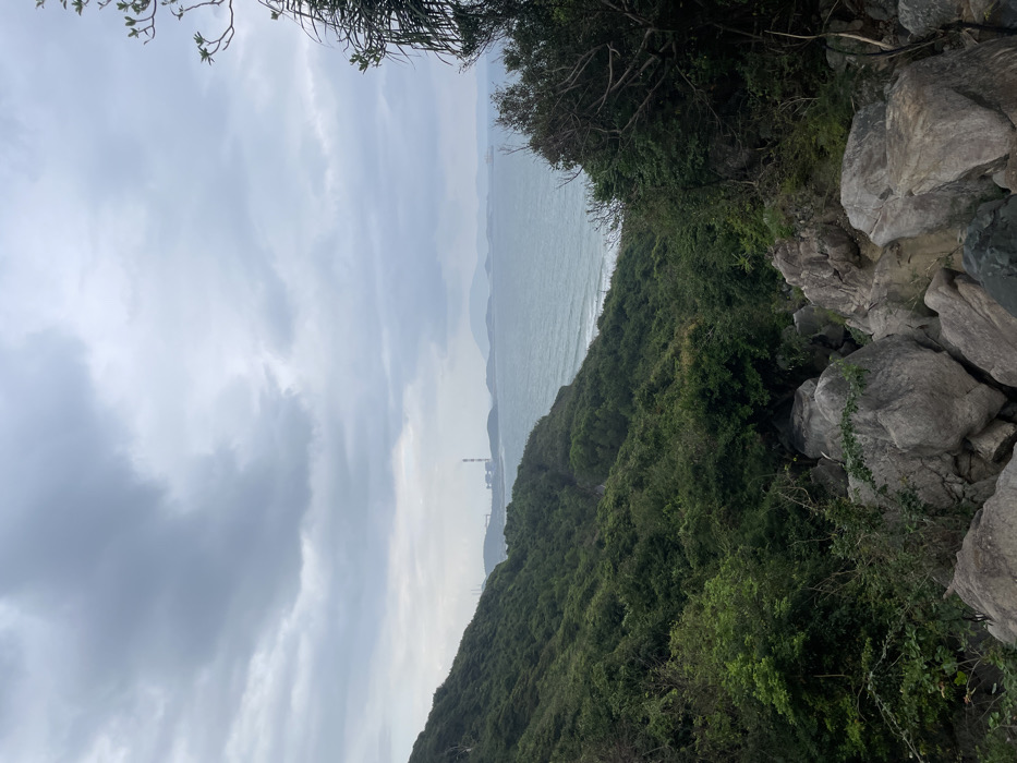 The image depicts an elevated coastal landscape view within Ninh Hòa, Vietnam, under an overcast sky. In the immediate foreground, large, irregularly shaped gray boulders are scattered amongst dense green shrubbery and trees. A steep, heavily vegetated hillside, covered in dark green foliage, dominates the midground, sloping down towards a shoreline on the right. A narrow sandy beach is visible at the base of this slope where it meets the ocean. Gentle waves break upon the shore, creating white lines.
The background features a expansive body of calm, light blue-gray ocean water. On the distant left horizon, a prominent industrial facility, identified as a power plant, stands on a low-lying peninsula. This facility includes multiple large buildings and at least one tall, slender smokestack. Further to the right across the water, several additional low-lying landmasses or islands are visible. A single, dark-hulled cargo ship or tanker is present on the water surface, positioned towards the right side of the frame in the middle distance. The sky is uniformly covered with light gray, diffused clouds, indicating an overcast condition without direct sunlight. No individuals or animals are visible within the scene.