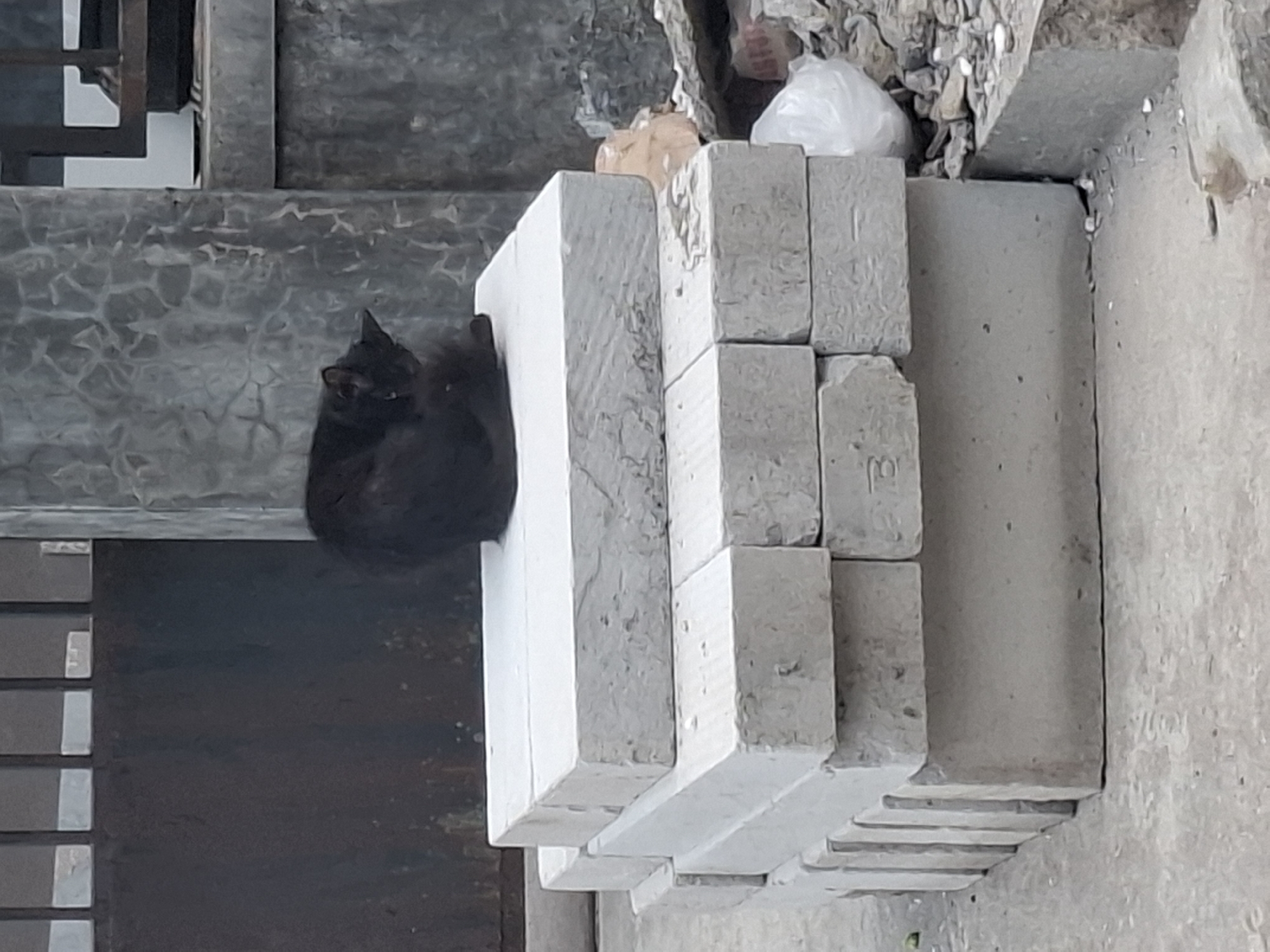 In Ciheulang Tonggoh, Indonesia, a black cat is curled up on a stack of concrete blocks. The cat appears to be grooming itself. The blocks are arranged in a rough, uneven pile. Behind the blocks, a metal gate is visible, with a concrete pillar to the right. The ground is paved with concrete, and there are piles of debris and a white plastic bag to the right of the blocks. The environment suggests an outdoor, possibly urban or semi-urban setting.