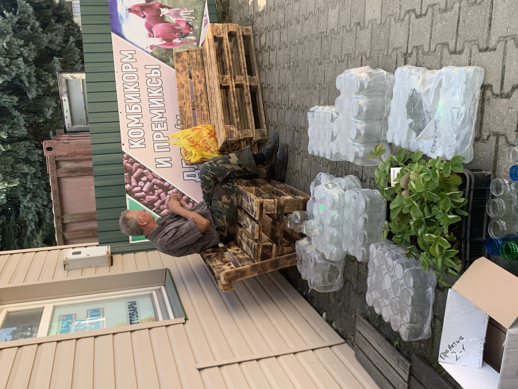 A man sits on a rustic bench made of wooden pallets, facing the right side of the frame, in front of a building. He is wearing a short-sleeved, brown, checkered shirt and camouflage pants, holding a small object in his right hand and looking down. In front of the bench, arranged on the paved ground, are numerous clear glass jars packaged in clear plastic. Some jars are loose, while others are in plastic-wrapped packs. To the left of the bench, part of a tan-colored building with a window is visible. A green fence runs behind the bench and extends towards the right side of the image. A large sign with pink and white lettering and images of livestock and feed is mounted on the fence. To the right of the jars, a black crate holds green plants, likely strawberry plants. A white cardboard box with black writing is in the lower left corner. The scene appears to be an outdoor area of a shop or market in Kapyĺ, Belarus, possibly a storefront.