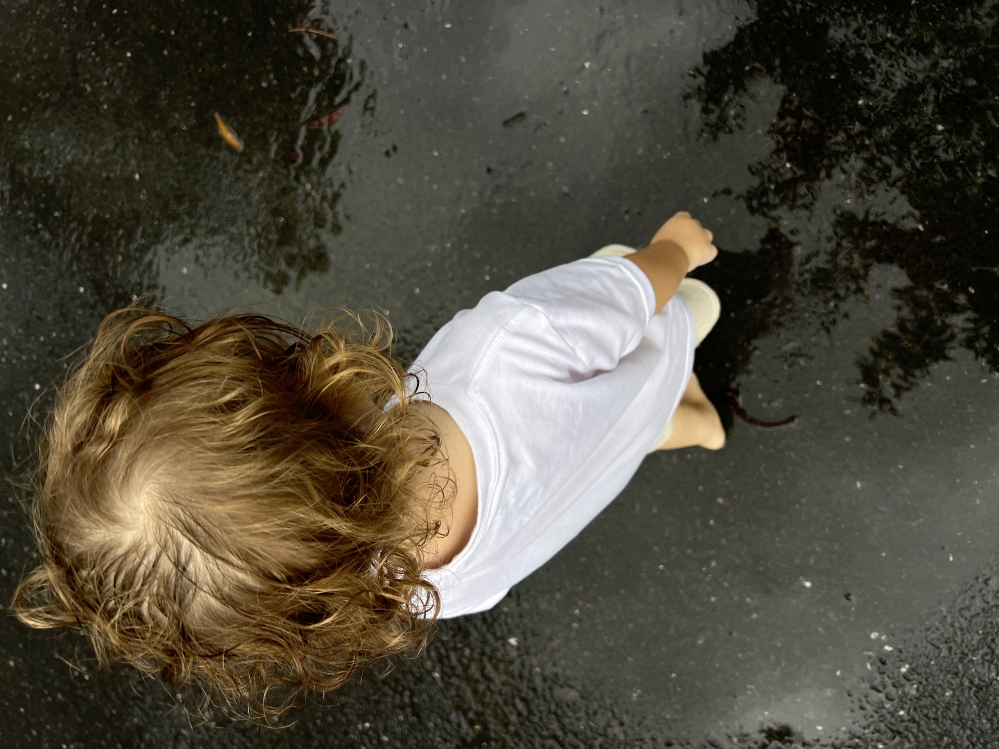 A high-angle shot shows a child standing on wet pavement. The child has blonde curly hair, is wearing a white shirt, and tan shoes. The pavement is reflective and dark, suggesting it has recently rained. There are scattered leaves and reflections of trees on the pavement. The location appears to be outdoors, possibly a street or walkway.