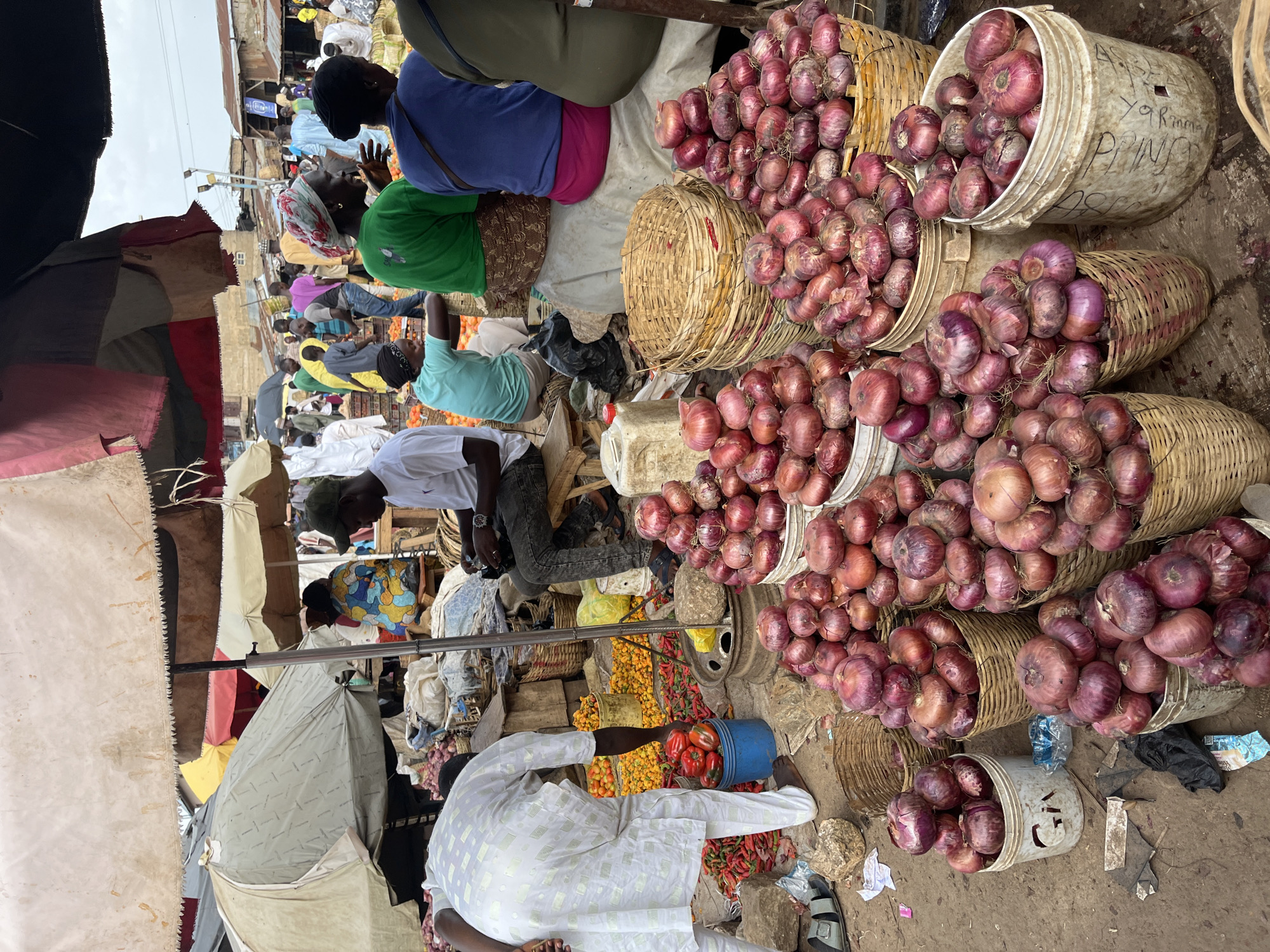 The image depicts a bustling outdoor market scene in Rafin Par, Nigeria, likely on a cloudy day, with a focus on produce stalls. Dominating the foreground and midground are large piles and buckets of red onions, some in woven baskets and others in white plastic buckets. The onions vary in size and color, from deep purple to lighter red.
To the left, a man in a white traditional outfit is bending down, reaching into a blue bucket filled with red bell peppers and possibly some chili peppers. Behind him, there are more piles of red and yellow chili peppers and small tomatoes, some displayed in woven crates. Further back, a variety of other produce is visible, including what appear to be more tomatoes and possibly other vegetables.
Several people are present, dressed in various casual and traditional attire. A man in a green cap and white t-shirt is seated on a wooden stool to the right, looking down. Other individuals are seen in the background, some engaged in commerce or moving through the market. Large, weathered umbrellas, some a muted beige and others with colorful fabric panels, provide shade over the stalls. The ground is dirt, with some debris and scattered produce skins. The overall impression is one of a vibrant, active marketplace.