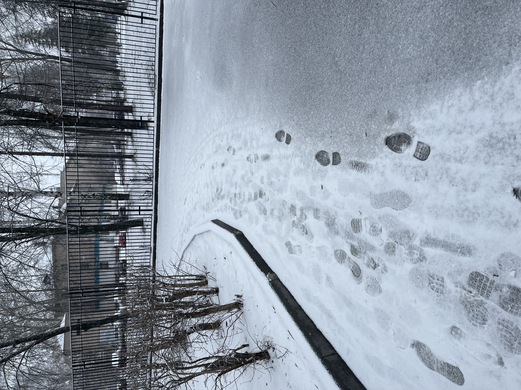 The image depicts a snow-covered area adjacent to a black metal fence and bare trees, likely in Chaikovsky, Russia. Footprints are visible in the snow, suggesting pedestrian traffic. A dark, raised border or curb runs diagonally across the scene, partially covered in snow. Behind the fence, a building or structure is partially visible through the trees. The scene conveys a winter landscape in an urban or suburban setting.