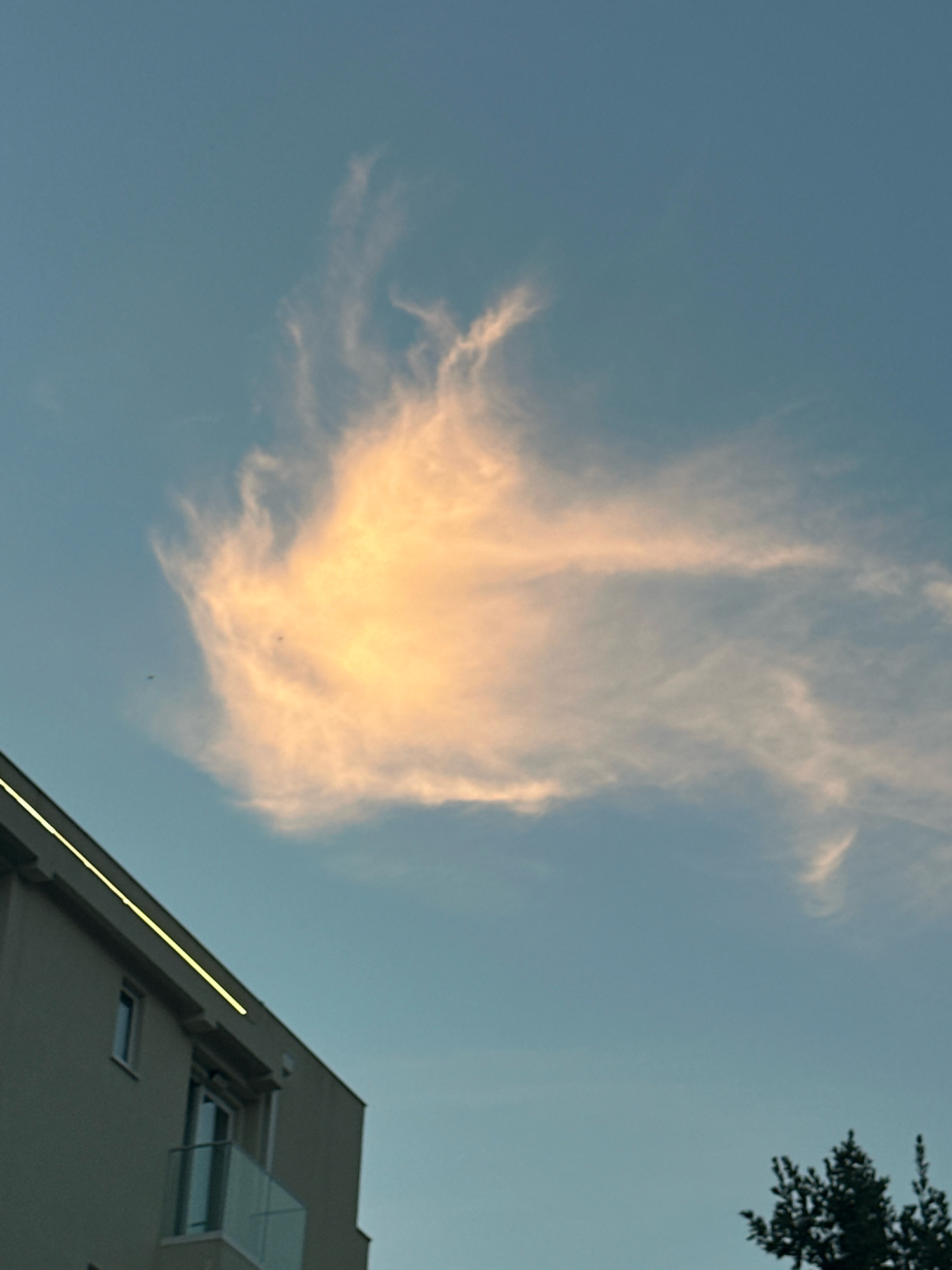 The image shows a cloud formation lit by the sun against a clear blue sky. The cloud is predominantly orange and yellow, with wispy white edges. In the lower left corner of the image, a building with a modern facade and a balcony with a glass railing is visible. A thin, bright yellow line runs diagonally along the top of the building. In the lower right corner, the dark silhouette of a tree is present. There are no people or animals visible in the scene. The location appears to be a residential area in the city of Budva, Montenegro, likely during sunset or sunrise due to the lighting of the cloud.