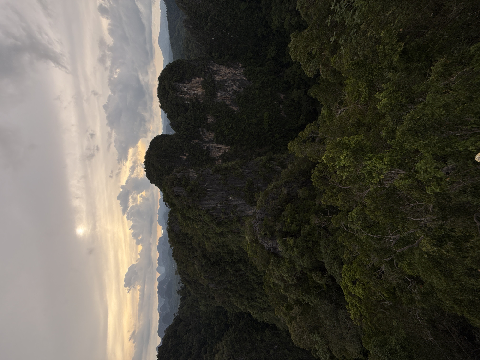 This is a wide-angle, high-angle shot of a dense, green forest with dramatic karst rock formations. The sky above is overcast with patches of muted yellow and orange light suggesting either sunrise or sunset. In the mid-ground, two prominent, jagged limestone cliffs rise steeply, covered in thick vegetation. The foreground and extending into the background is a vast expanse of trees, with varying shades of green indicating depth. In the far distance, a range of softer, bluish mountains is visible, almost blending into the hazy sky. The scene appears to be a natural landscape, likely in a region known for its limestone karsts, such as Ban Khao Tang, Thailand, given the context. There are no people, animals, or man-made objects visible in the frame. The overall mood is serene and wild.
