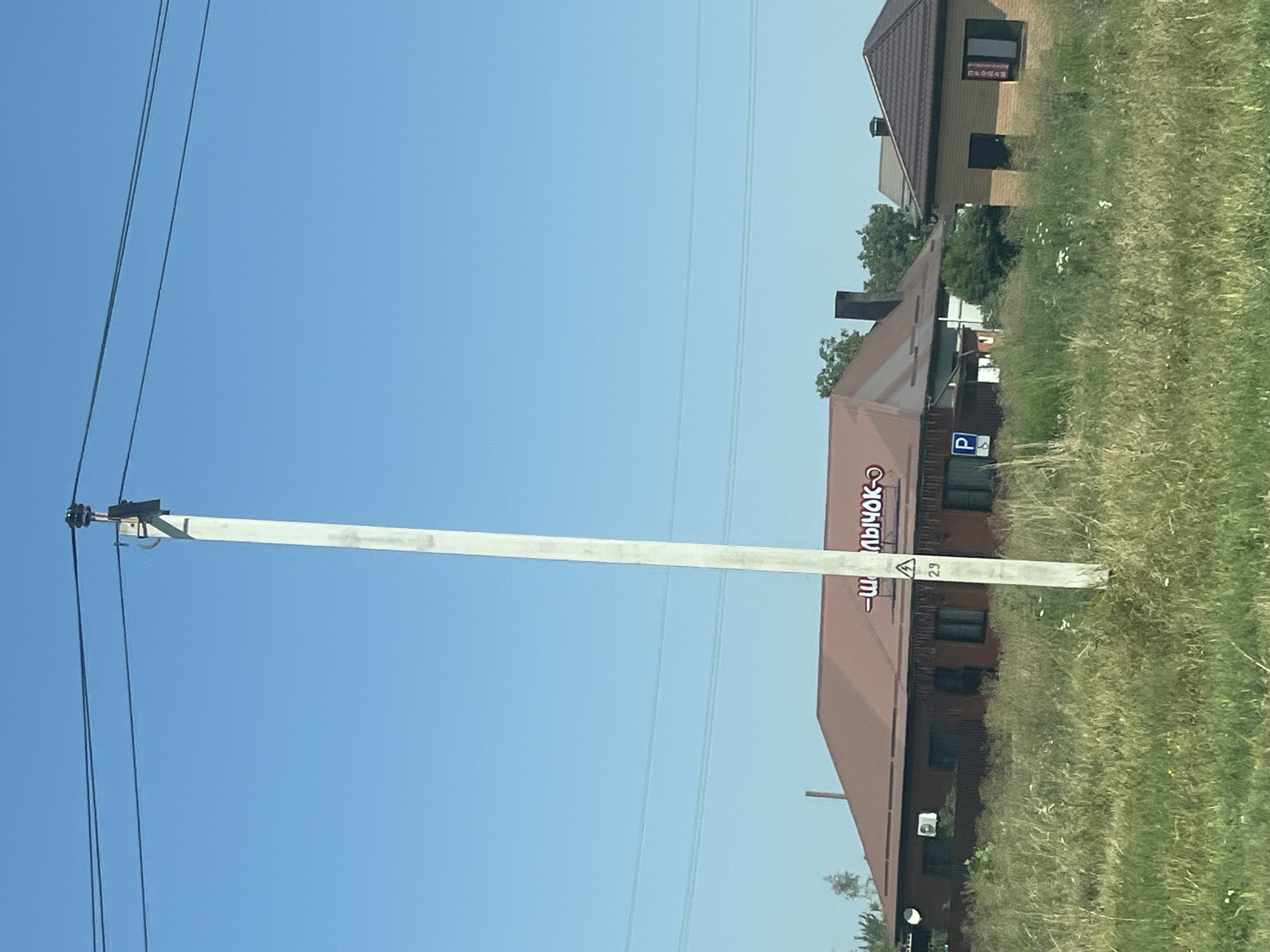 An outdoor, eye-level, medium shot shows a rural scene with a light pole in the foreground and buildings in the background. The light pole is tall and made of concrete, with wires extending from the top. The background features a long, brown building with a red roof, and to its right, a smaller, tan brick building with a brown roof. Both buildings appear to be businesses, with signage visible on the brown building. The area in front of the buildings is overgrown with tall green grass and wildflowers. The sky is clear and blue. The scene is likely a roadside establishment in a rural or suburban area.