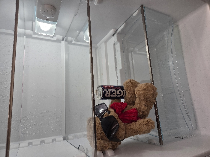 The scene depicts the interior of an open, white domestic refrigerator, located in Varna, Bulgaria. The back wall of the refrigerator exhibits numerous condensation droplets. On the upper right interior, a lit incandescent bulb is visible within a protective housing, adjacent to a white rotary temperature control dial. The refrigerator contains three clear glass shelves; the top two are empty. On the lowest glass shelf, a medium-brown teddy bear is seated in an upright posture. This teddy bear is outfitted with dark, reflective sunglasses and a red knitted scarf around its neck. Positioned immediately to the right of the teddy bear on the same shelf is an upright beverage can, predominantly dark blue and black, featuring the brand name "TIGER" in large white capital letters. Below this shelf, a translucent plastic drawer, consistent with a crisper or storage compartment, is visible. The refrigerator interior is otherwise unoccupied.