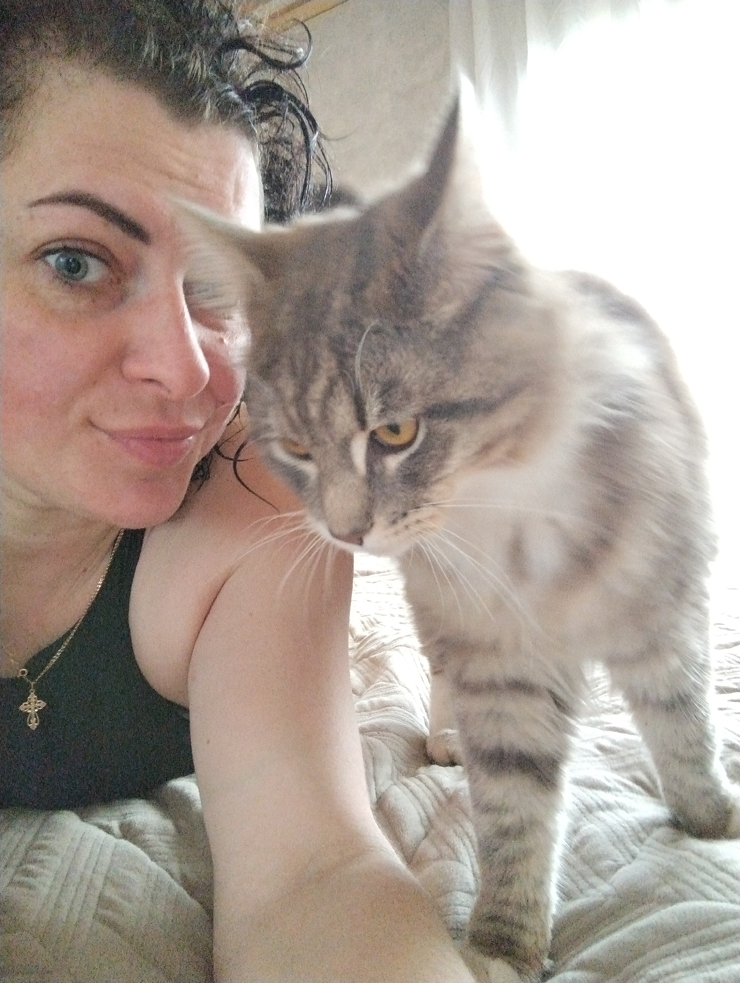 A light-skinned woman with damp, dark curly hair is shown in a selfie with a light gray and white tabby cat. The woman is wearing a black tank top and a gold necklace with a cross pendant. The cat is standing on a textured surface, likely a bed, with its front paws visible. The cat's eyes appear golden, and it is looking down. The lighting is bright, with the background somewhat overexposed. There is no information in the image that indicates this image was taken in the city of Grishanki, Russia.