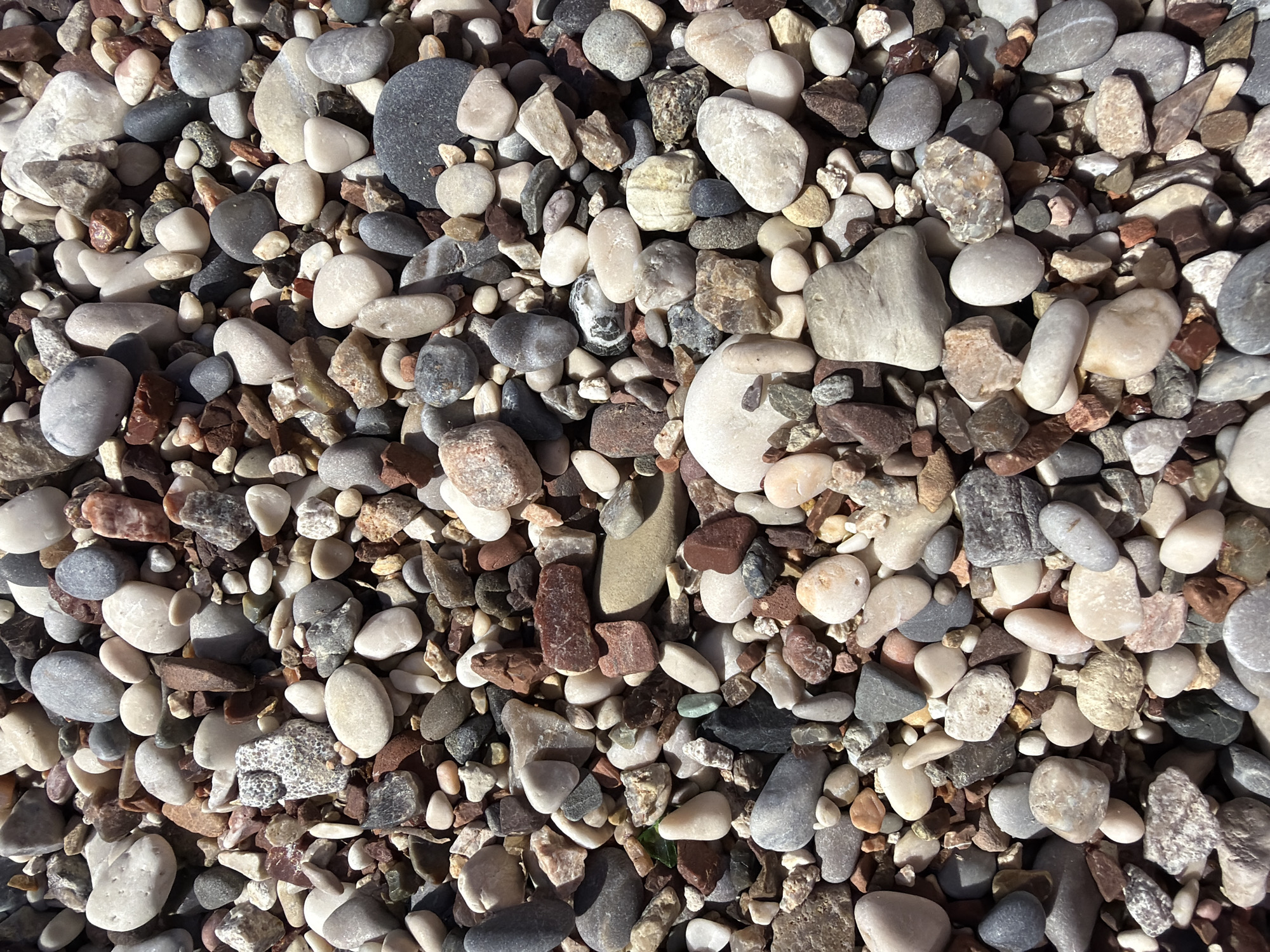The image shows a close-up view of a beach covered in pebbles. The pebbles are various sizes, shapes, and colors, ranging from white and grey to reddish-brown. The scene is illuminated by sunlight, creating shadows that add depth and texture to the image. It is likely located on a beach in Budva, Montenegro. There are no people visible in the scene.